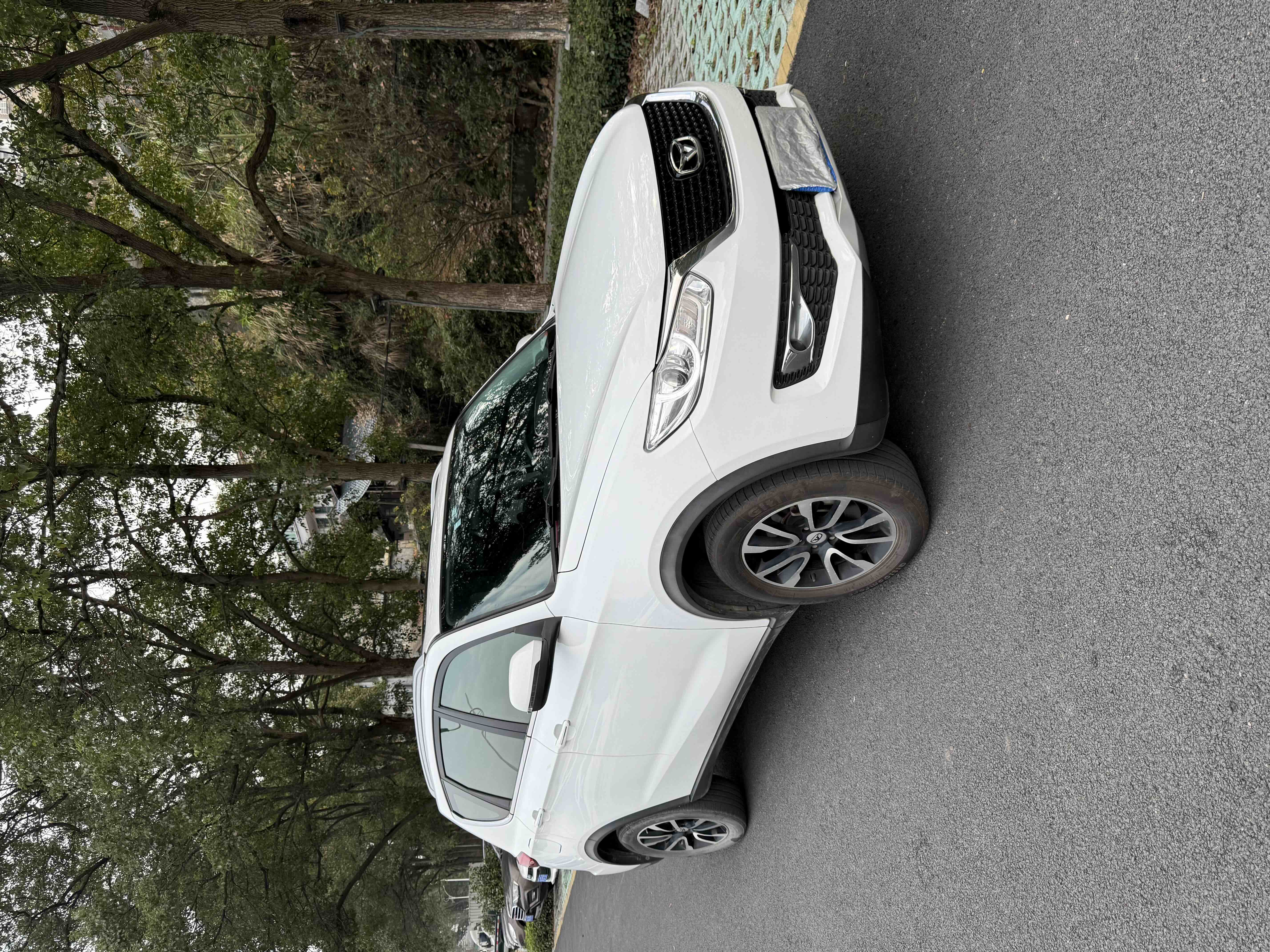 Kaiyi X3 2018 汽车图片 