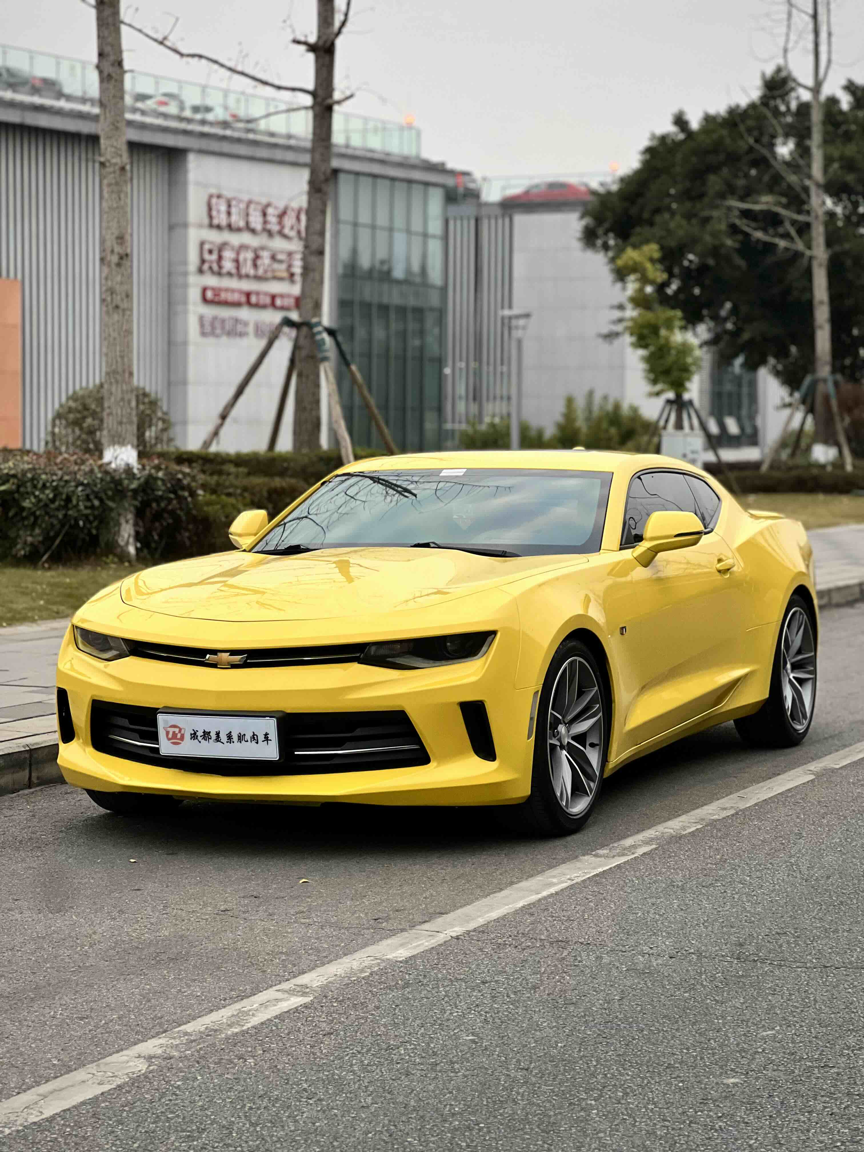 Chevrolet Camaro 2017 car image 