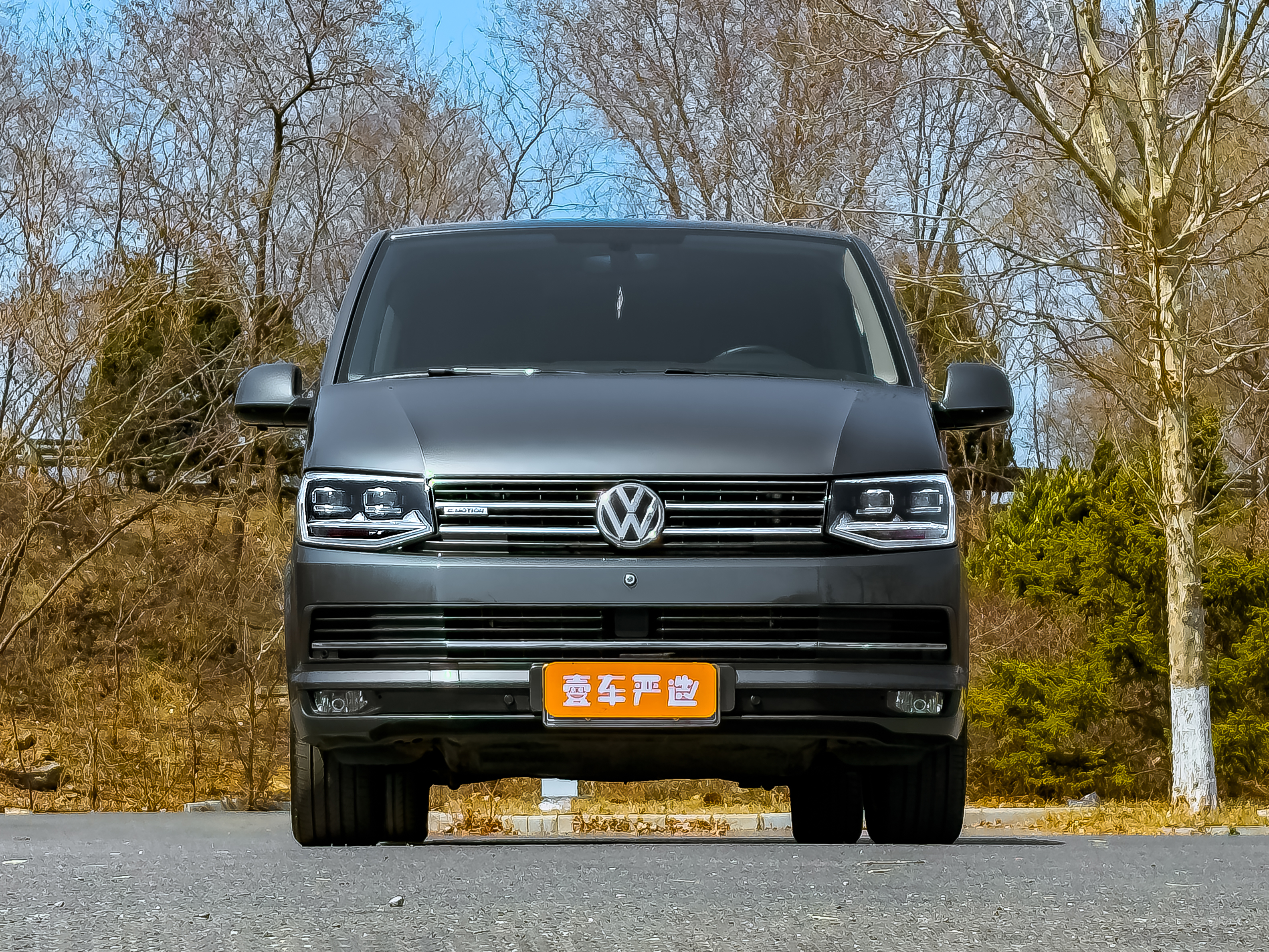 Volkswagen Multivan 2017 汽车图片 
