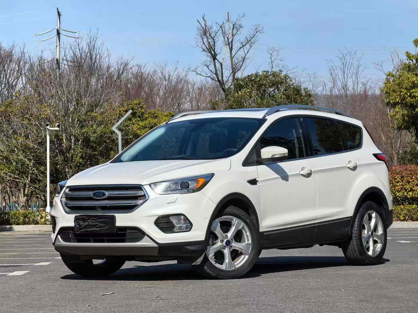 Ford Kuga 2017 car image 