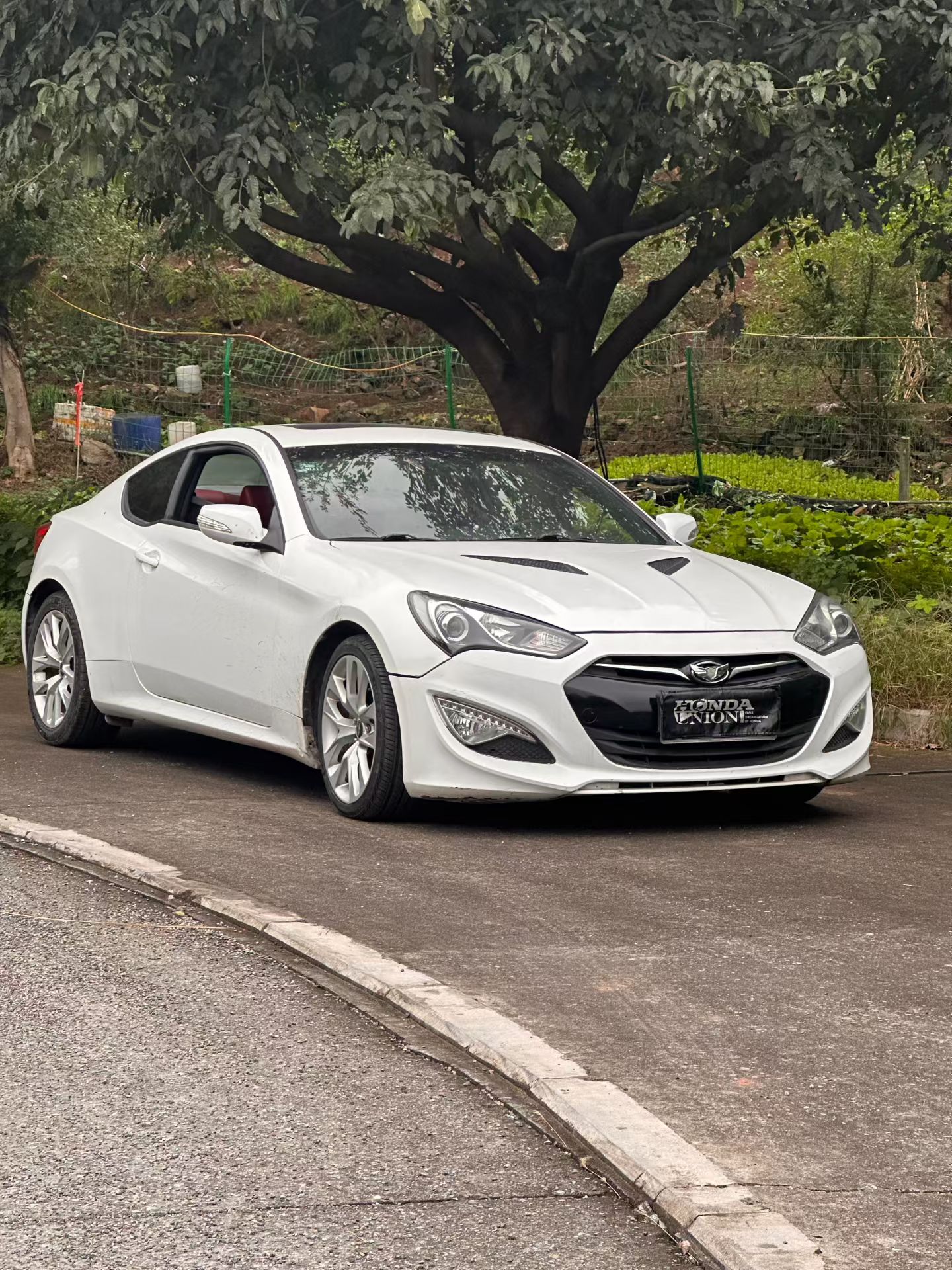 Hyundai Rohens-Coupe 2013 Hyundai Rohens-Coupe 2013 car image