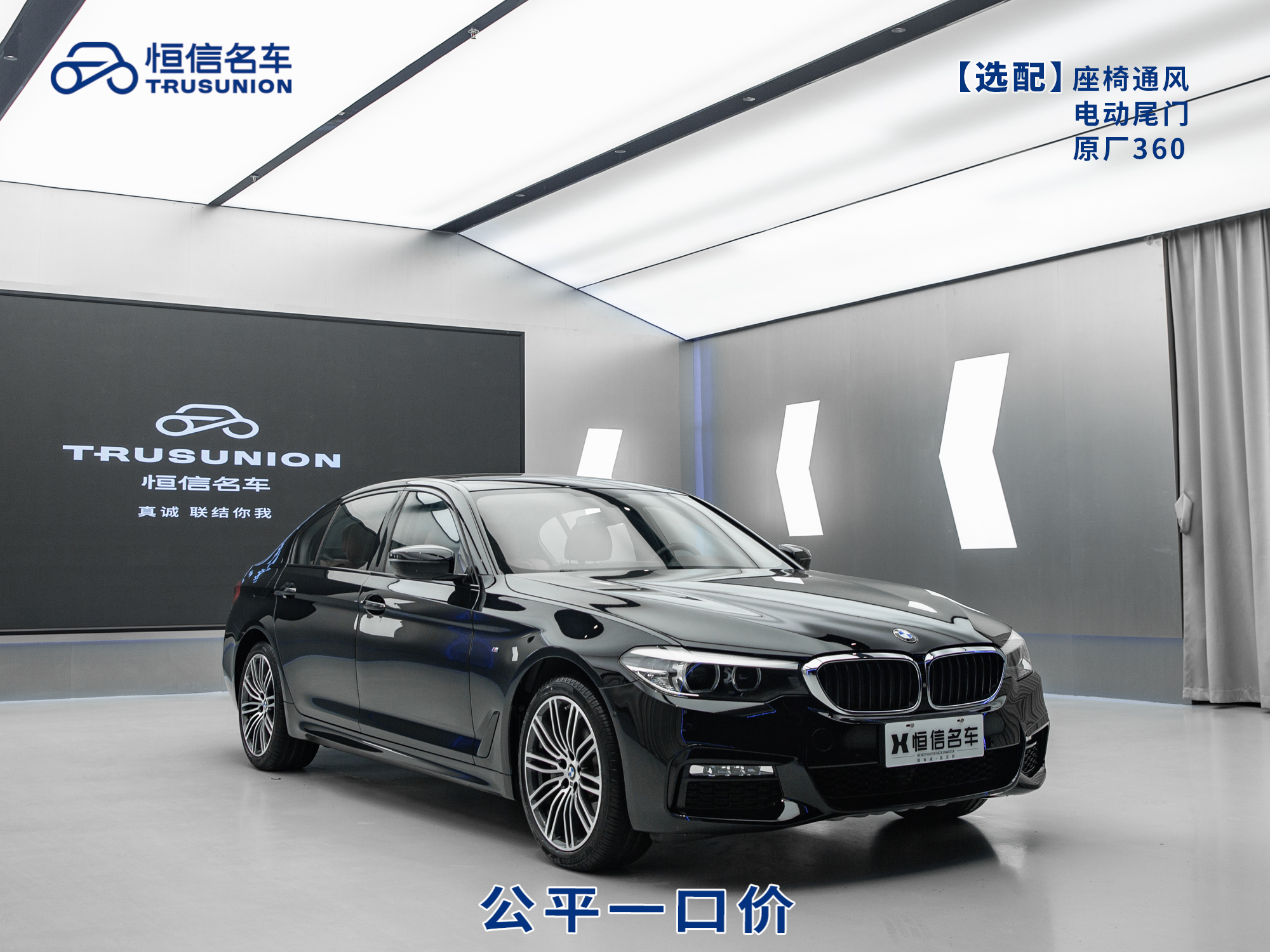 BMW 5 Series 2017 BMW 5 Series 2017 car image