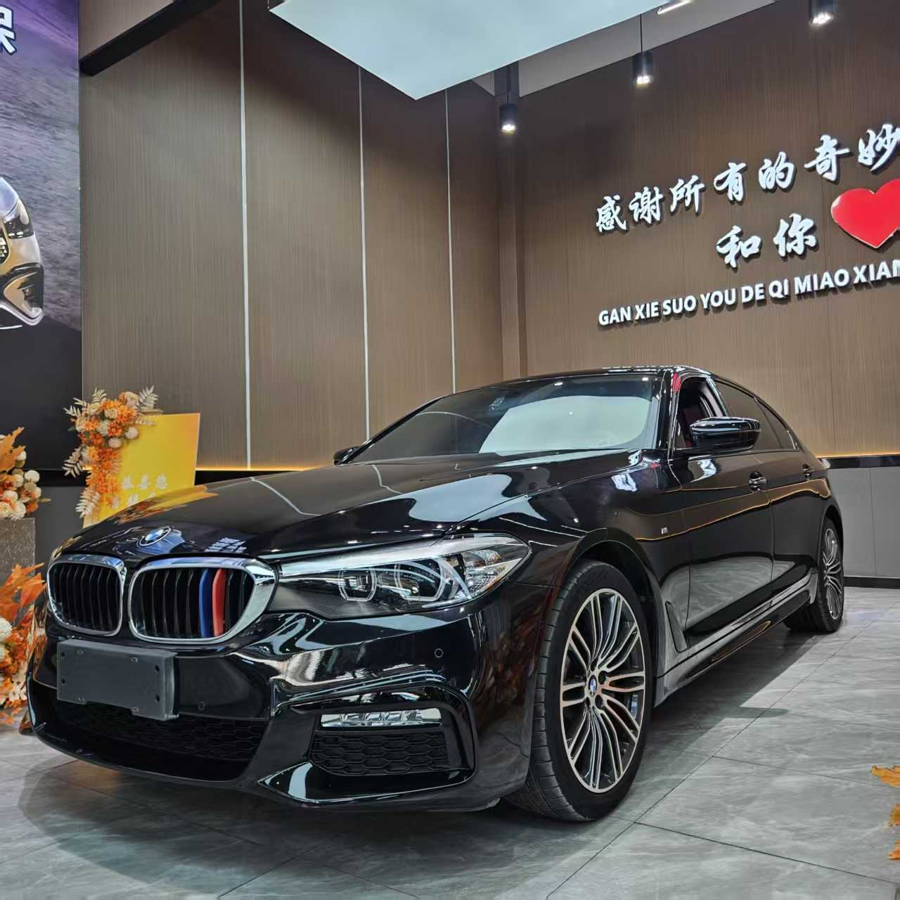 BMW 5 Series 2018 汽车图片 