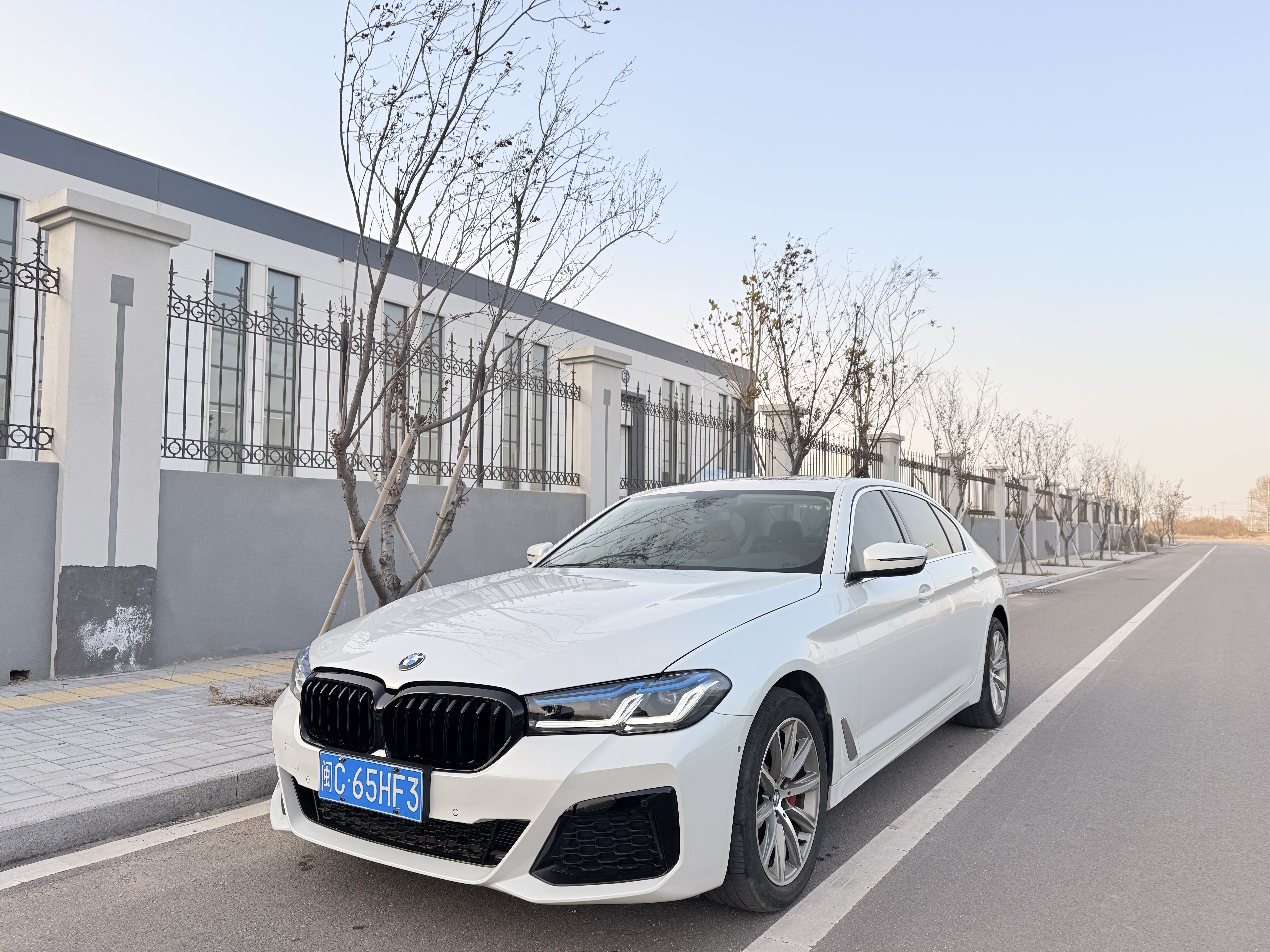 BMW 5 Series 2017 car image 