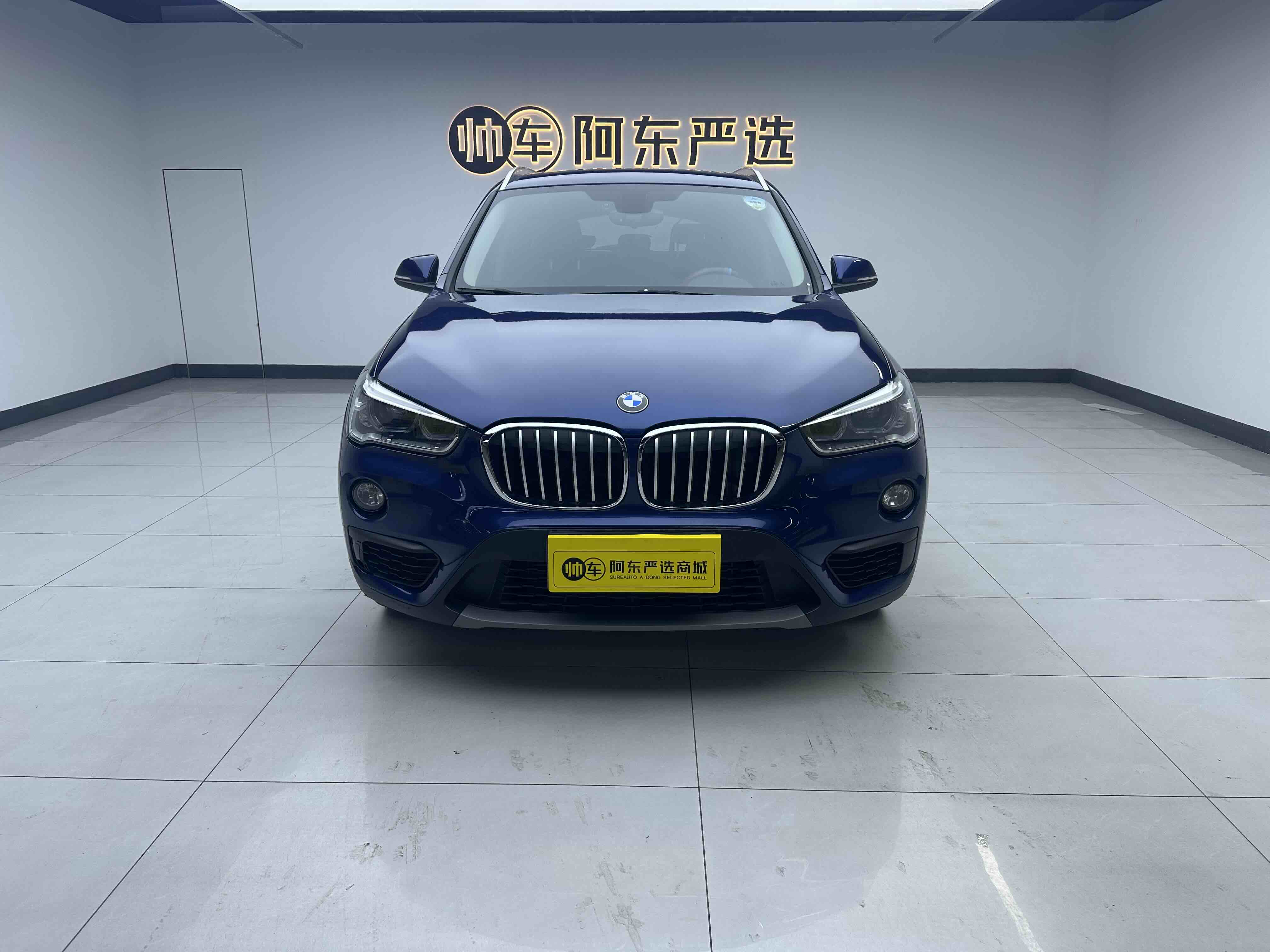 BMW X1 2018 car image 