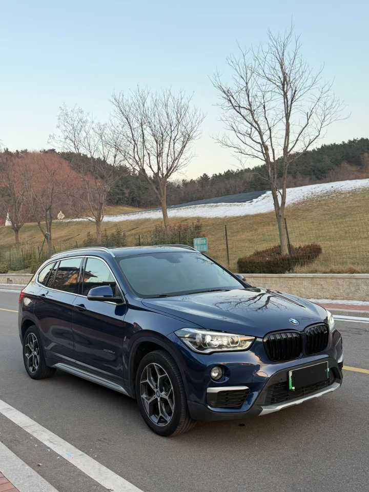 BMW X1 New Energy 2018 car image 