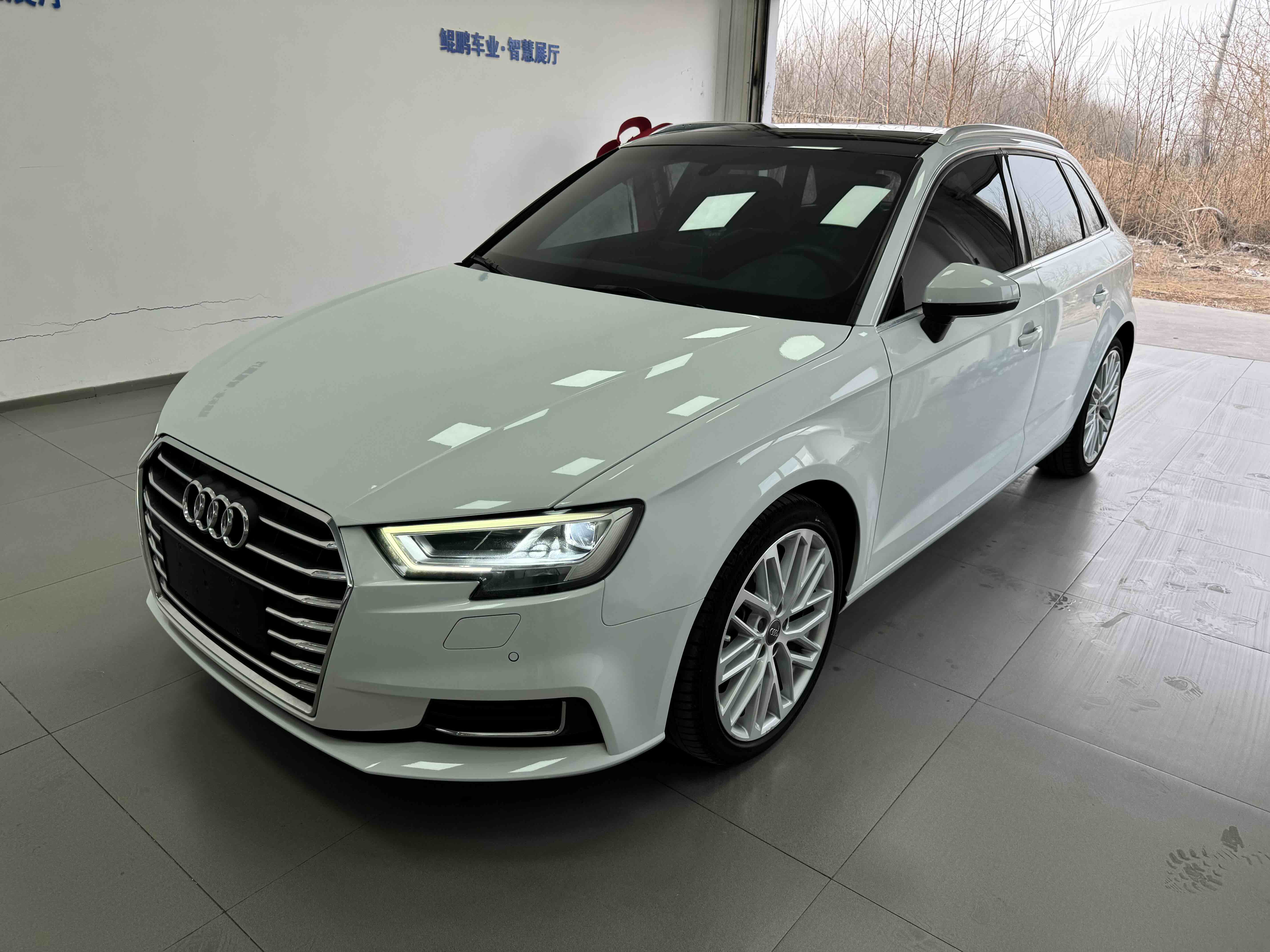 奥迪 奥迪A3 2017 汽车图片 