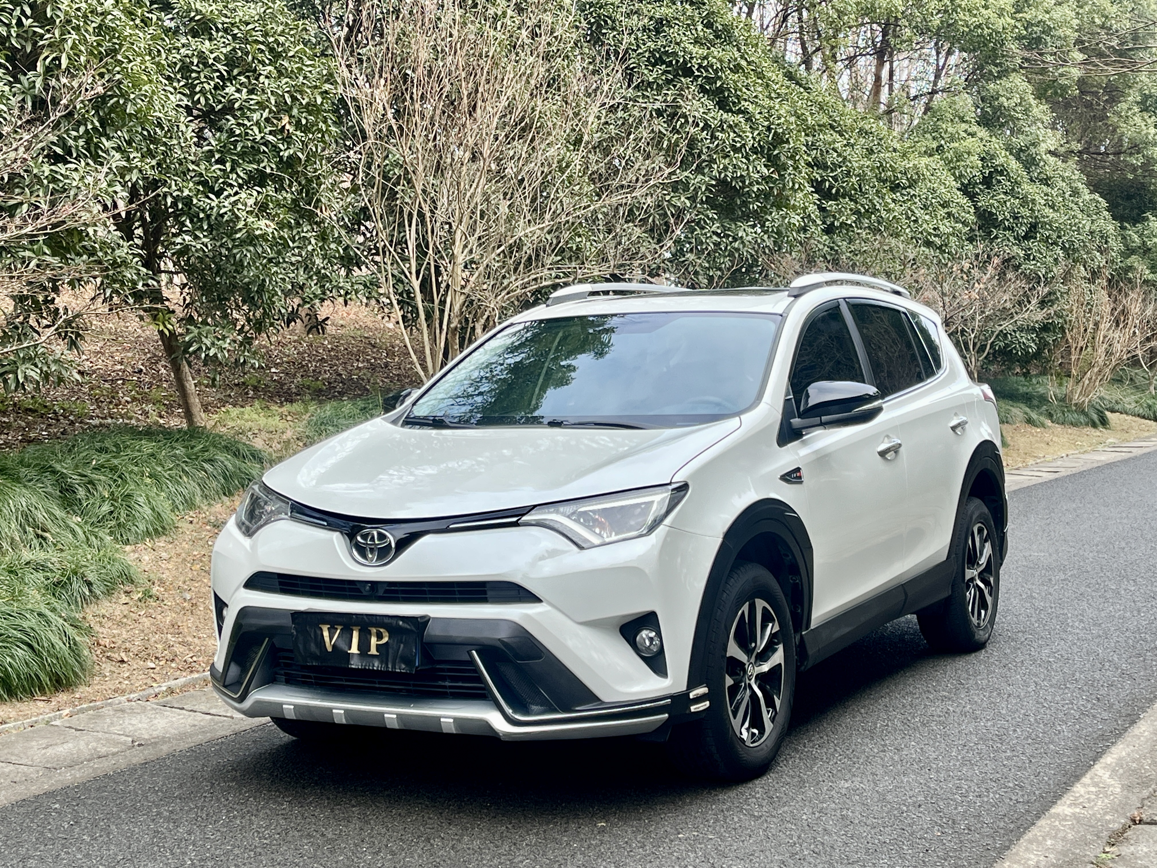 Toyota RAV4 2019 Toyota RAV4 2019 car image