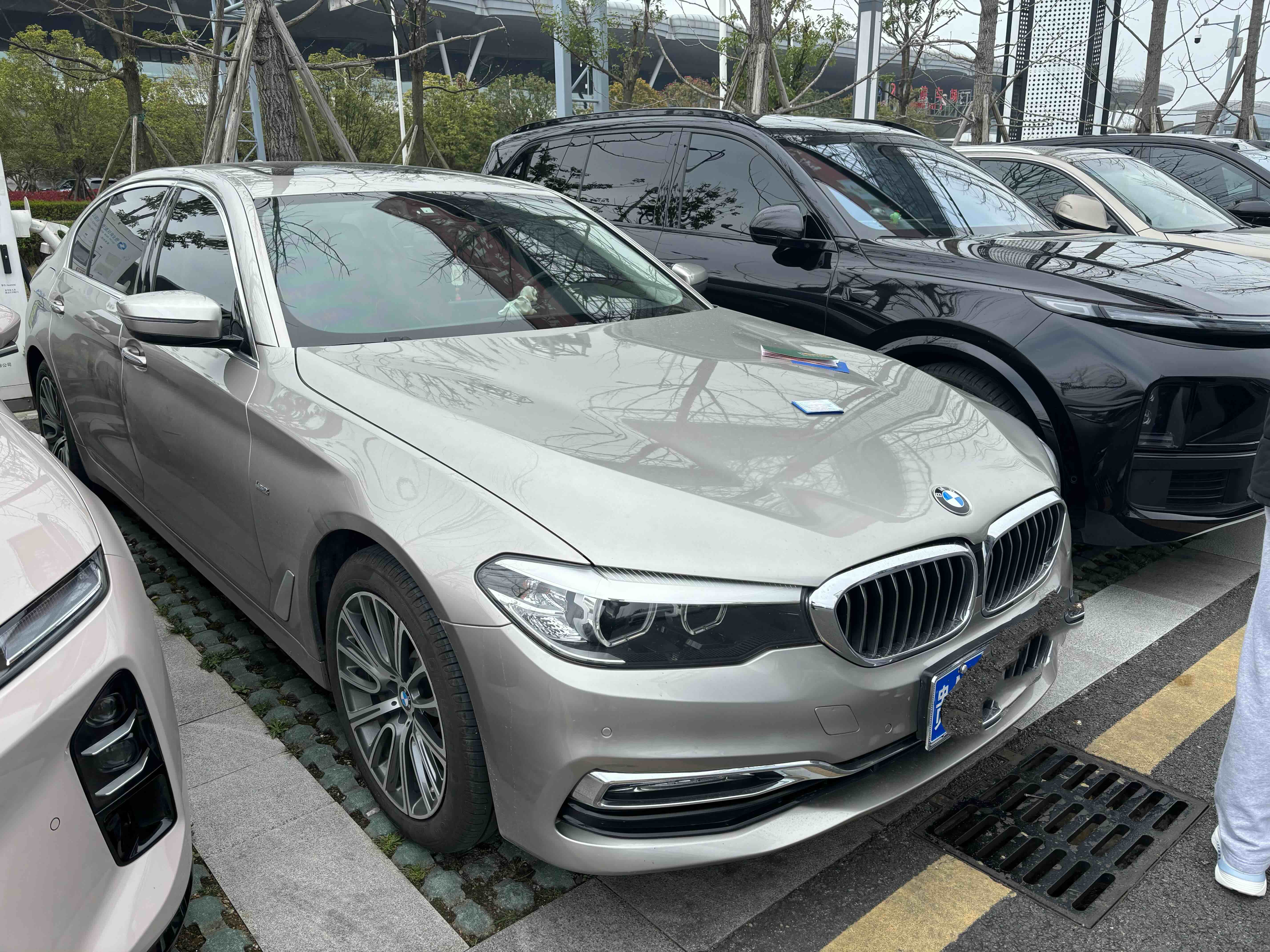 BMW 5 Series 2017 car image 