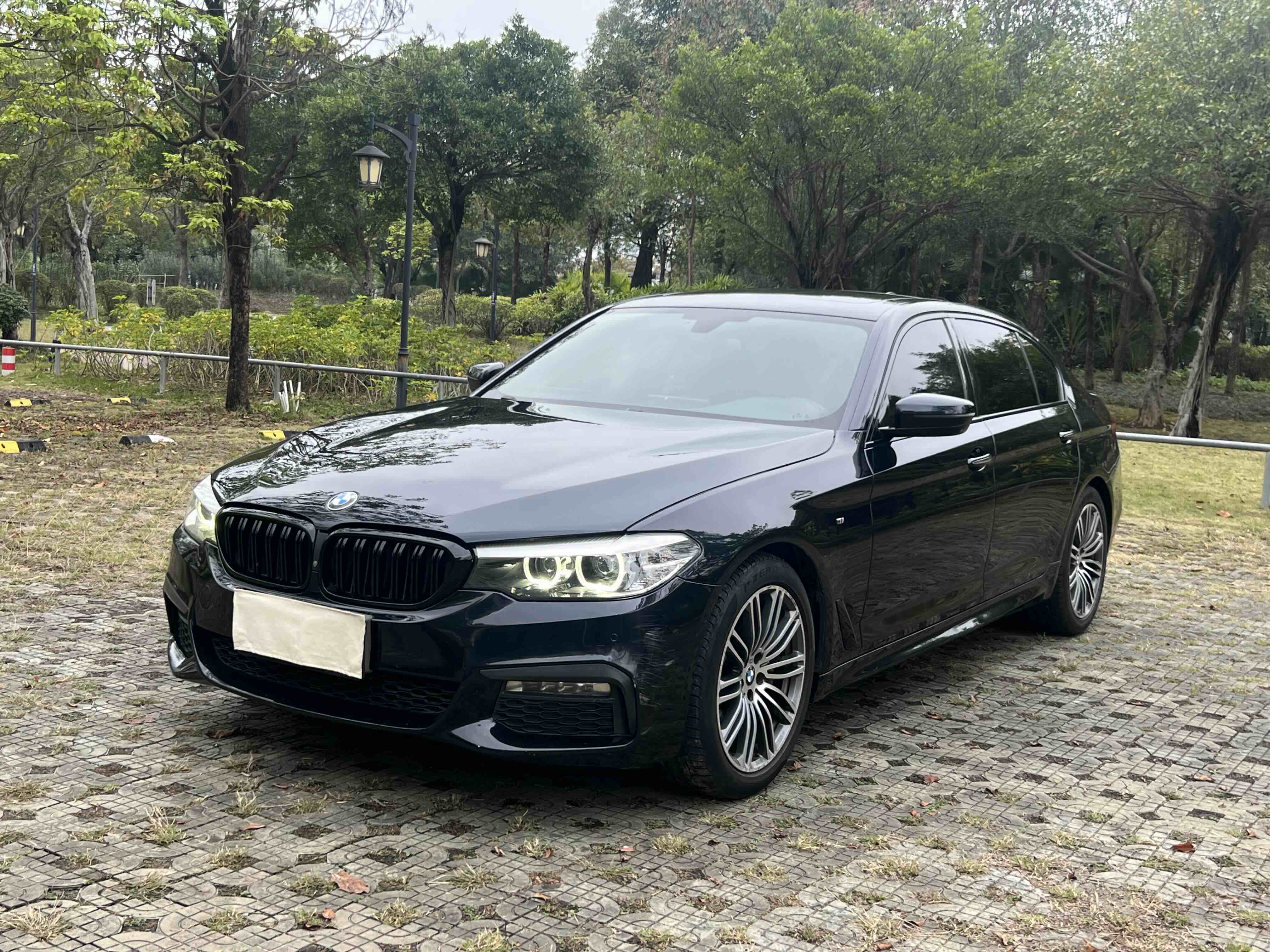 BMW 5 Series 2017 car image 