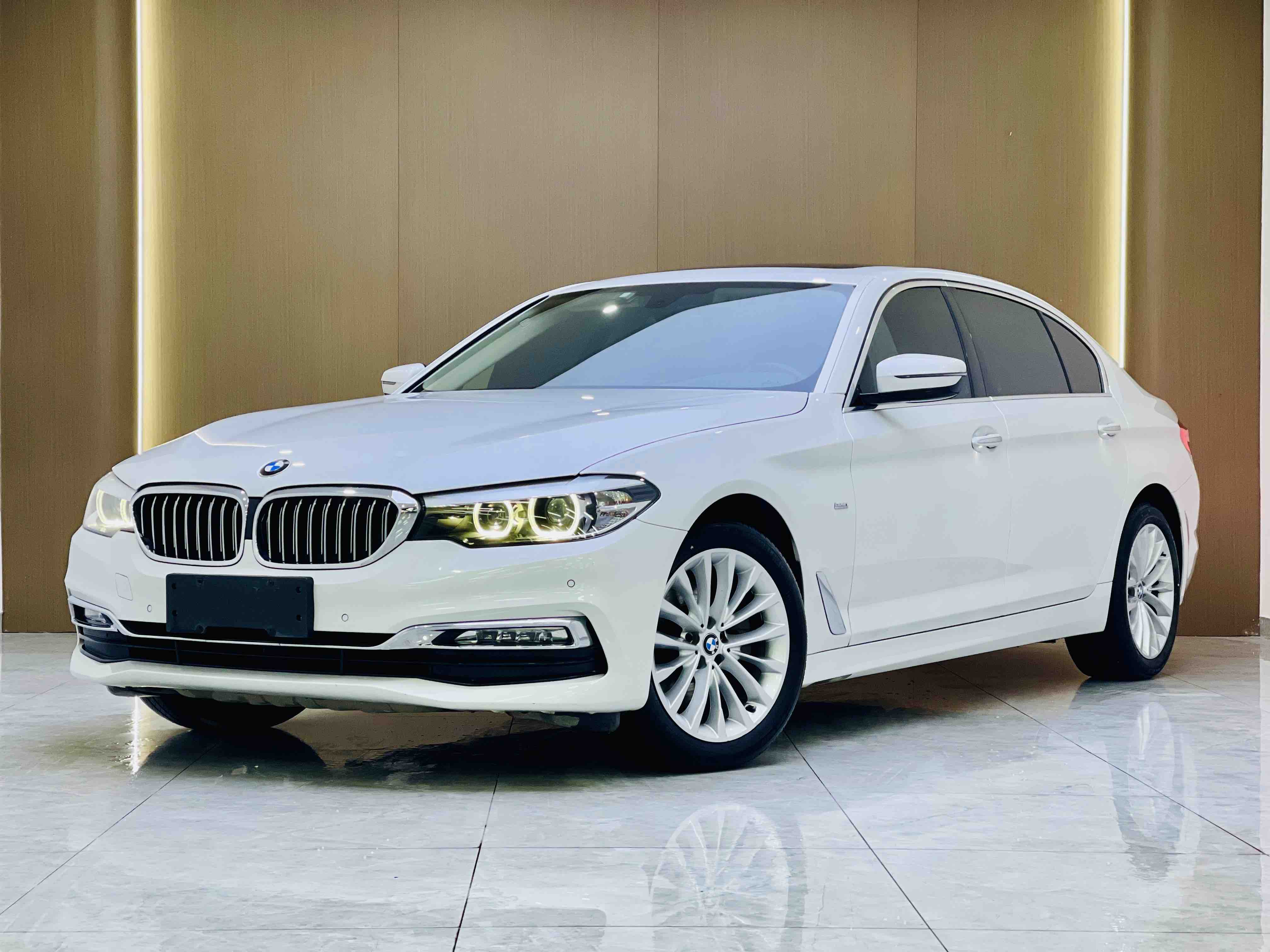 BMW 5 Series 2018 BMW 5 Series 2018 car image