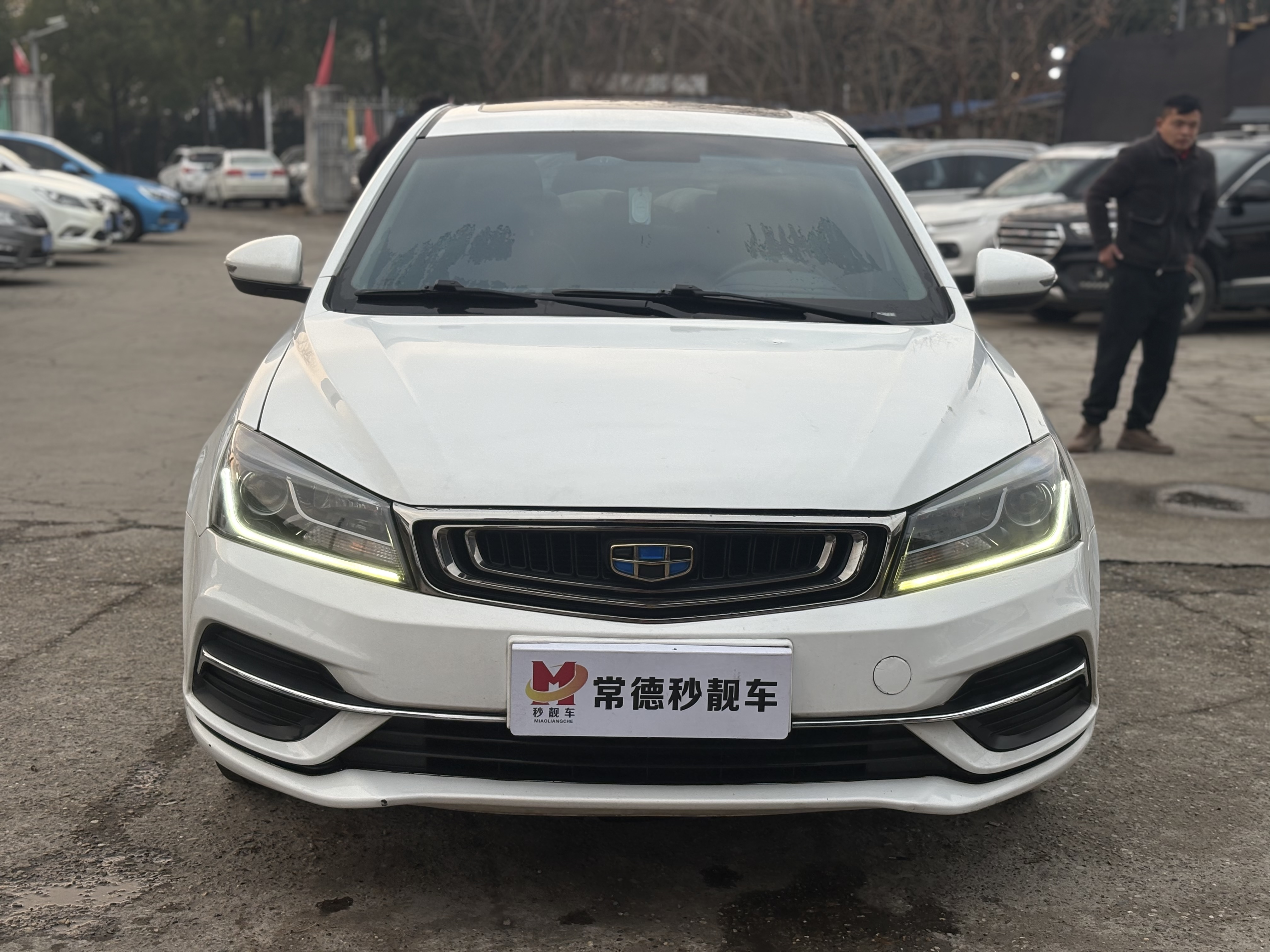 GEELY Emgrand 2018 immagine di auto 