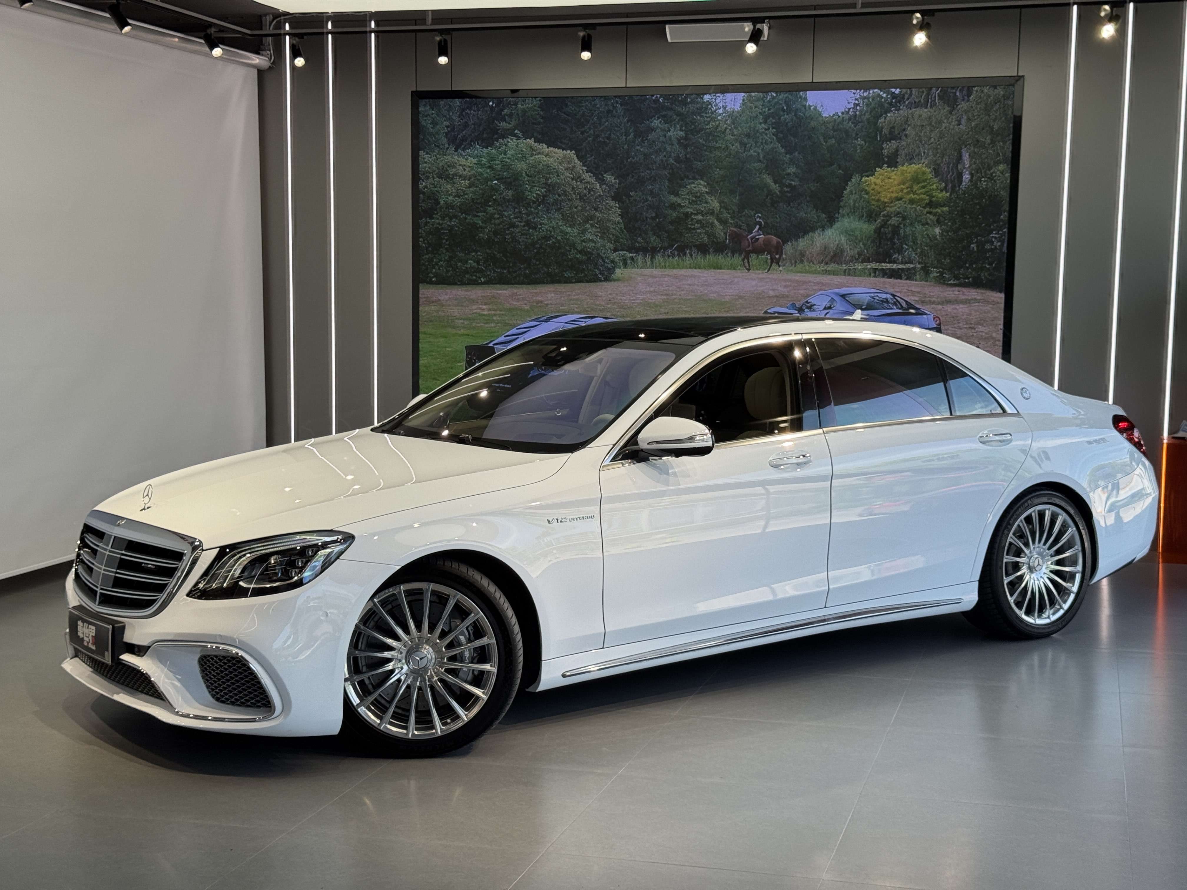 Mercedes-Benz S AMG 2018 Mercedes-Benz S AMG 2018 изображение автомобиля