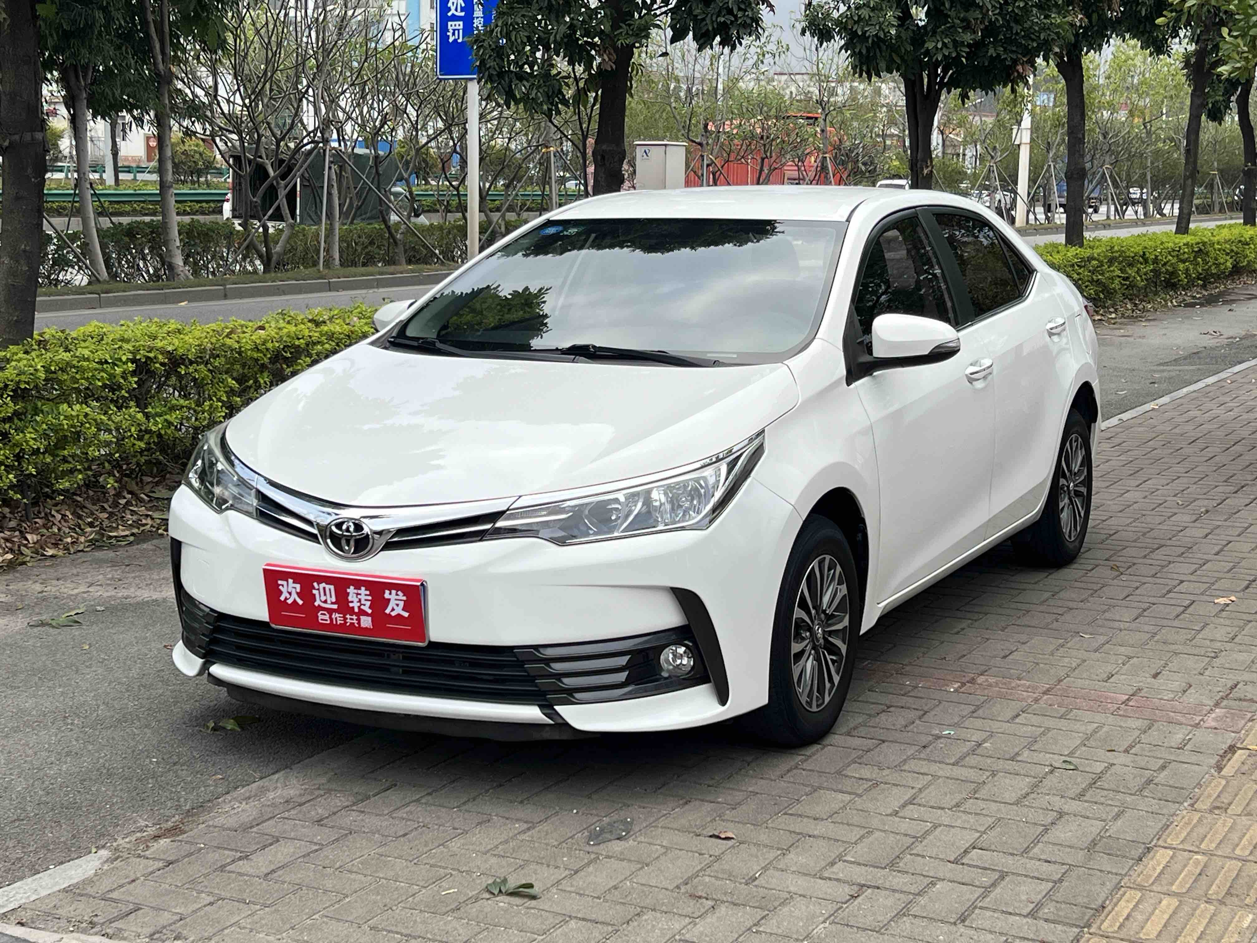 Corolla 2019 car image 