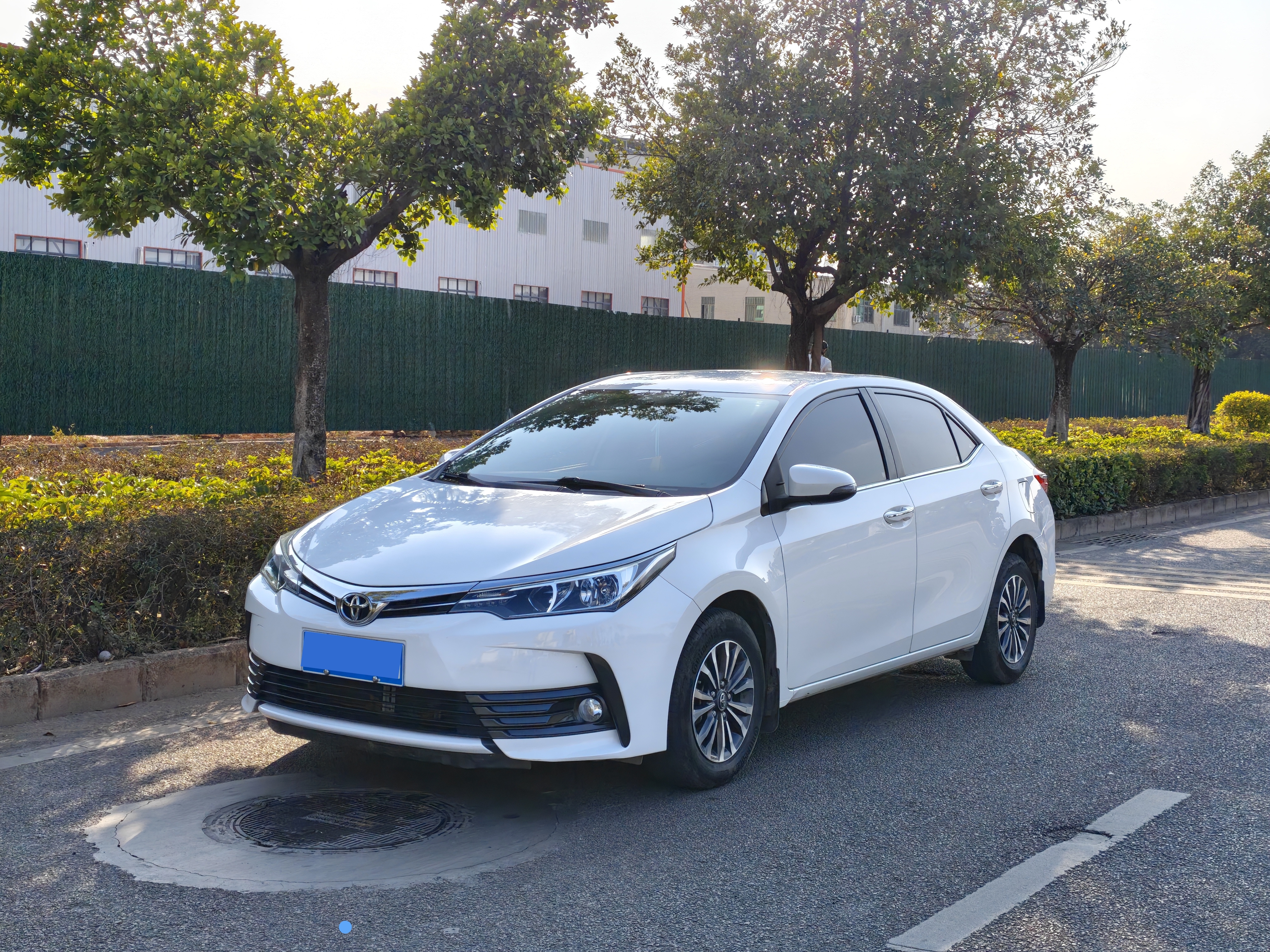 Toyota Corolla 2019 car image 