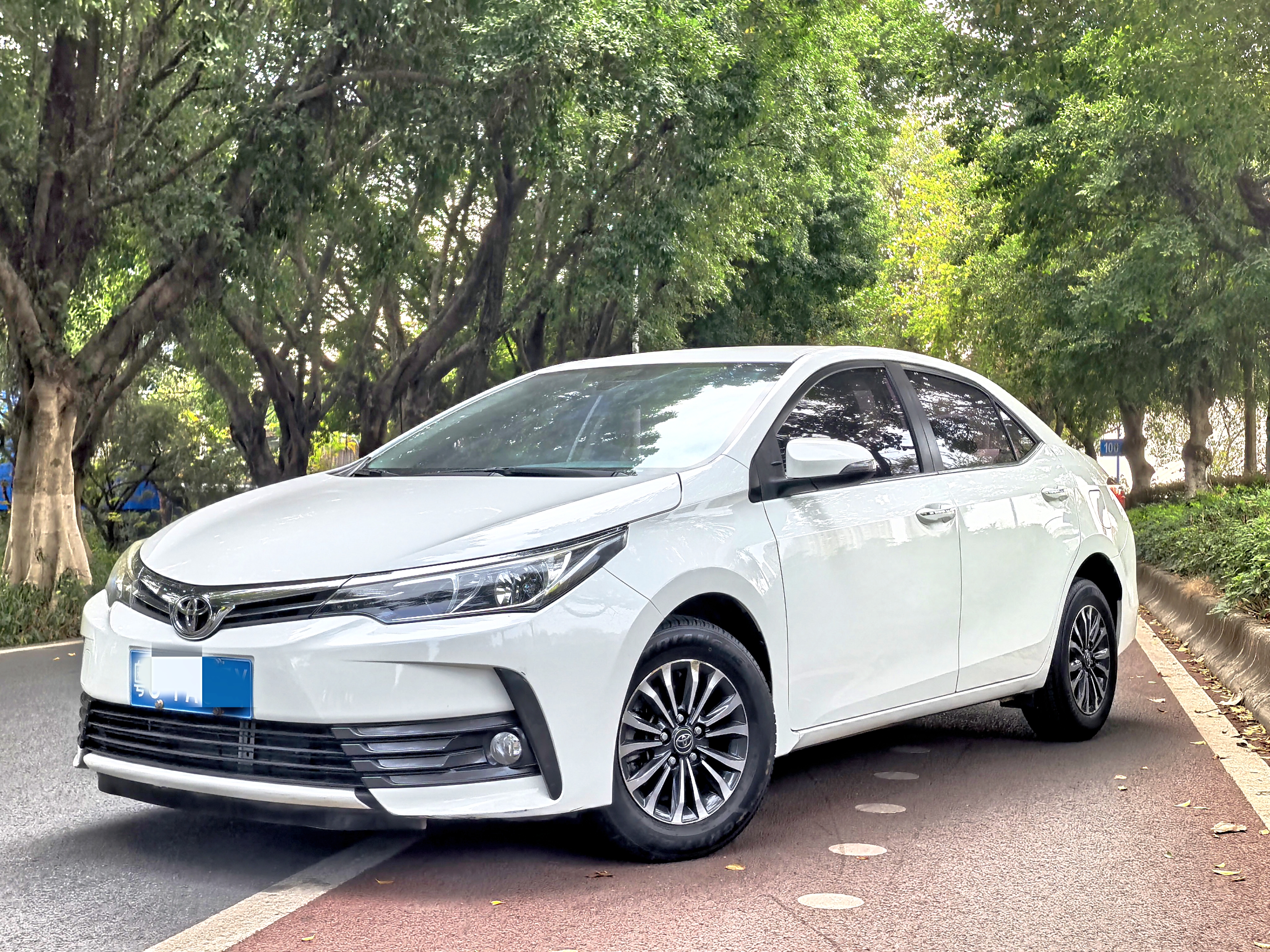 Toyota Corolla 2019 Toyota Corolla 2019 car image