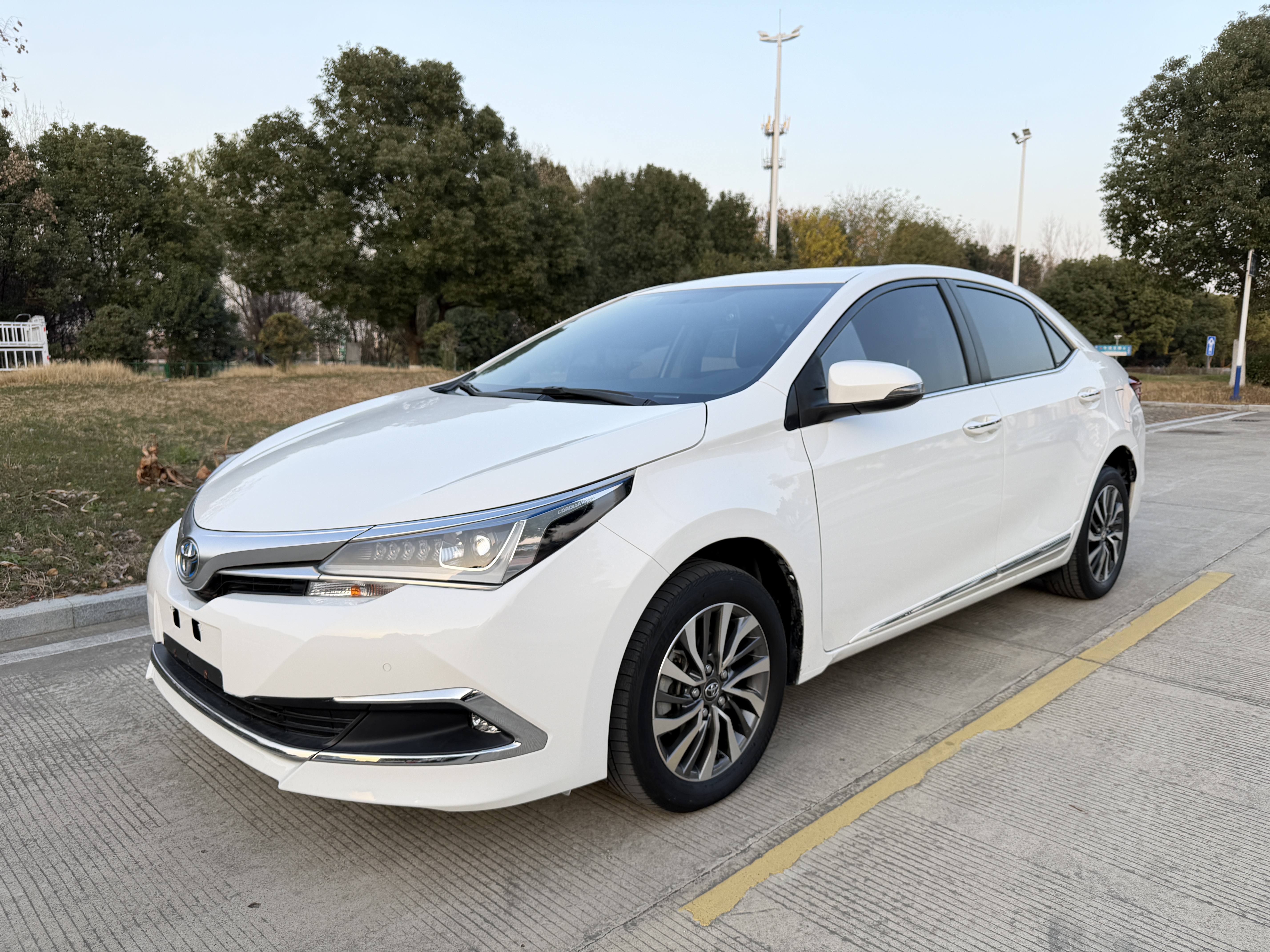 Toyota Corolla 2019 Toyota Corolla 2019 immagine di auto