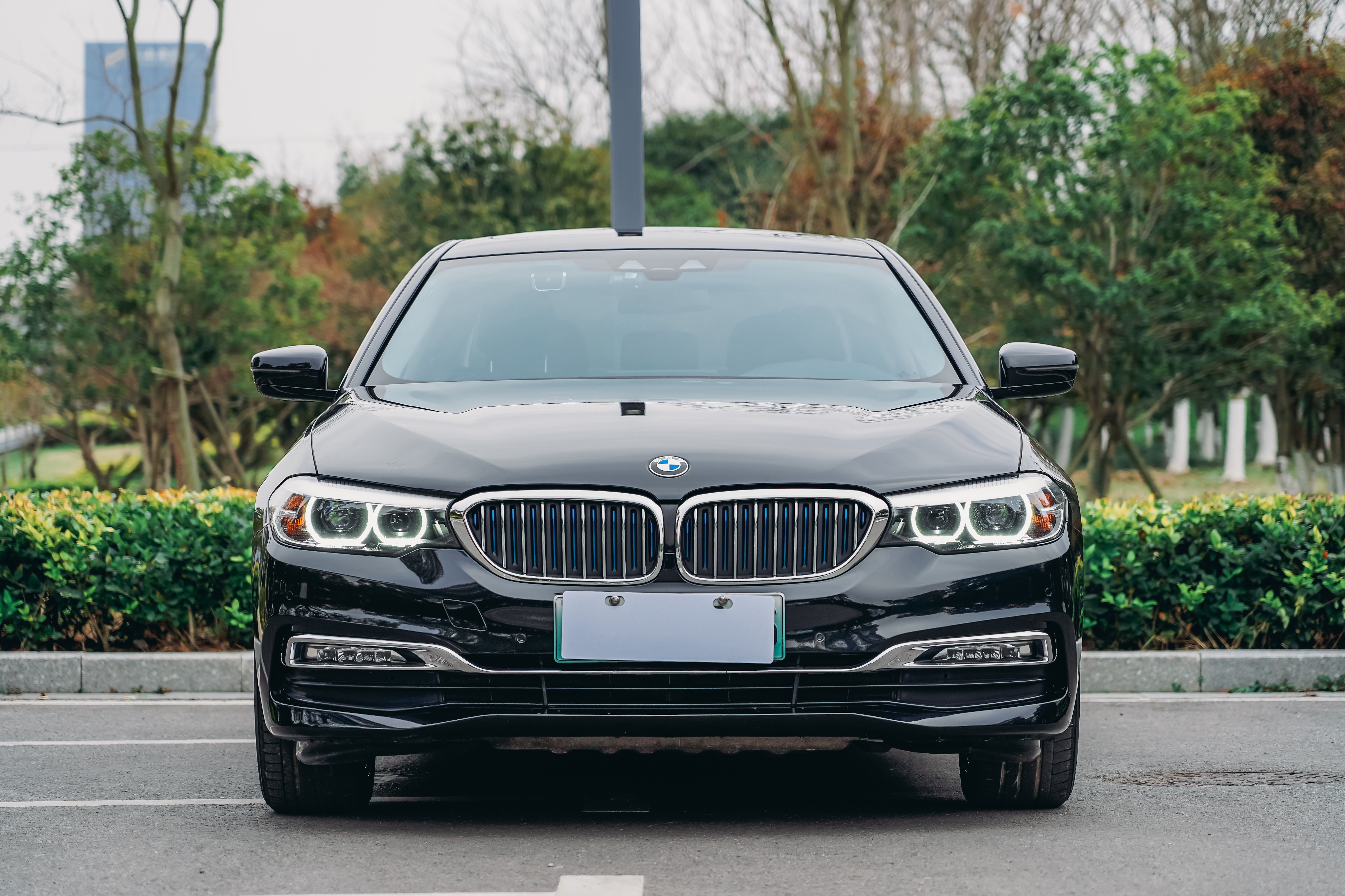 BMW 5 Series New Energy 2018 car image 