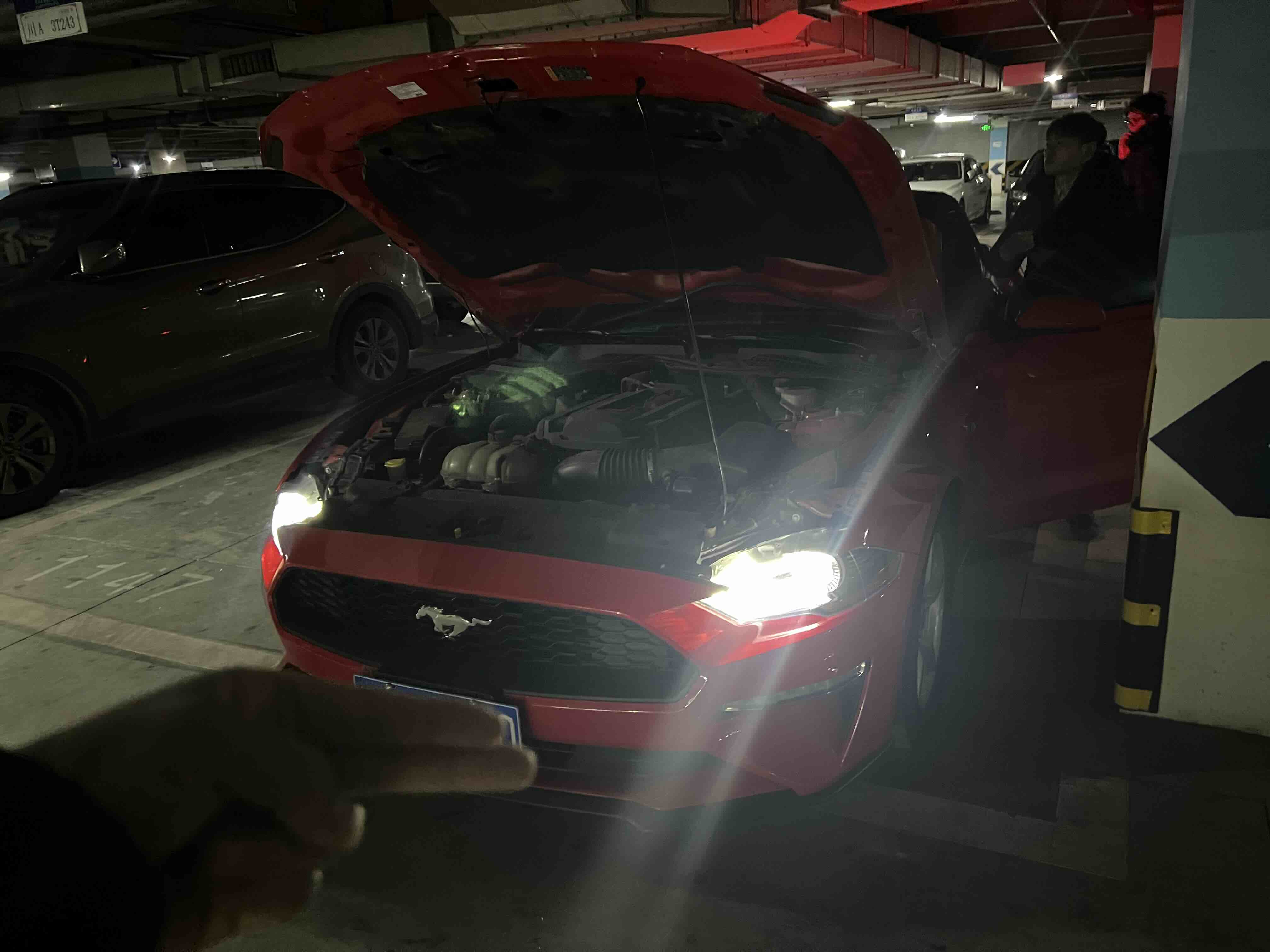 Ford 2019 Ford 2019 car image