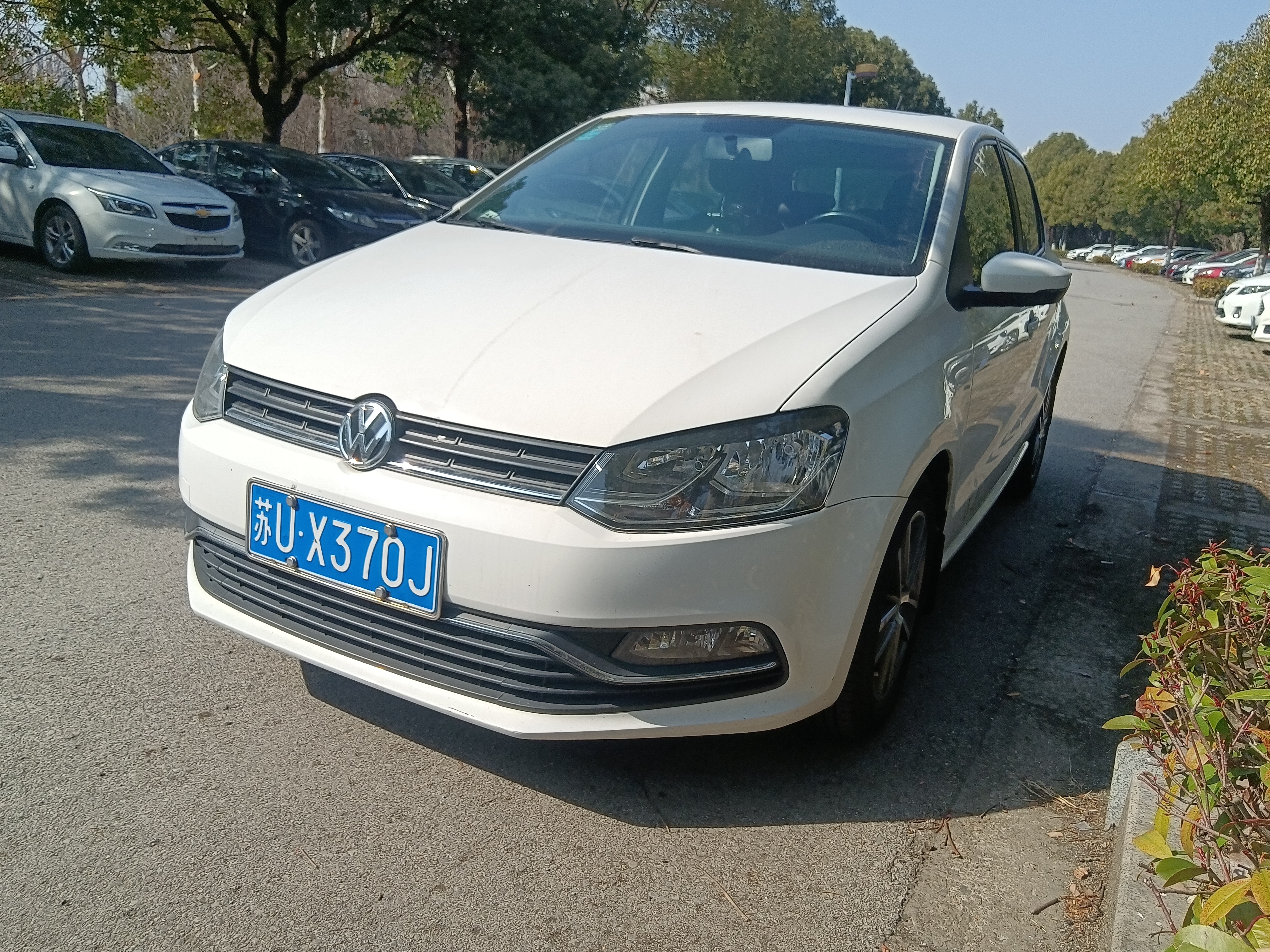 Polo 2019 car image 