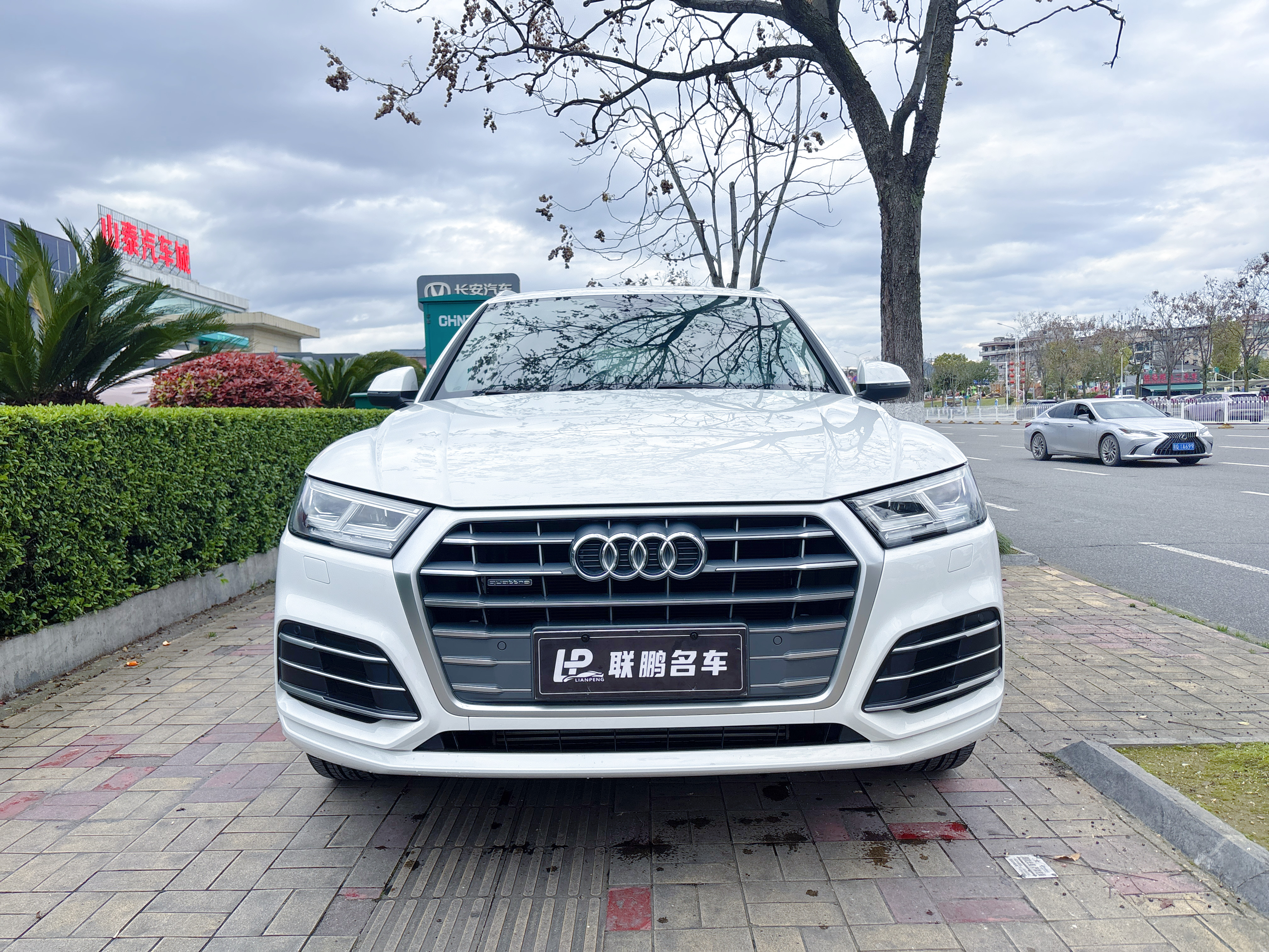 Audi Q5L 2019 汽车图片 
