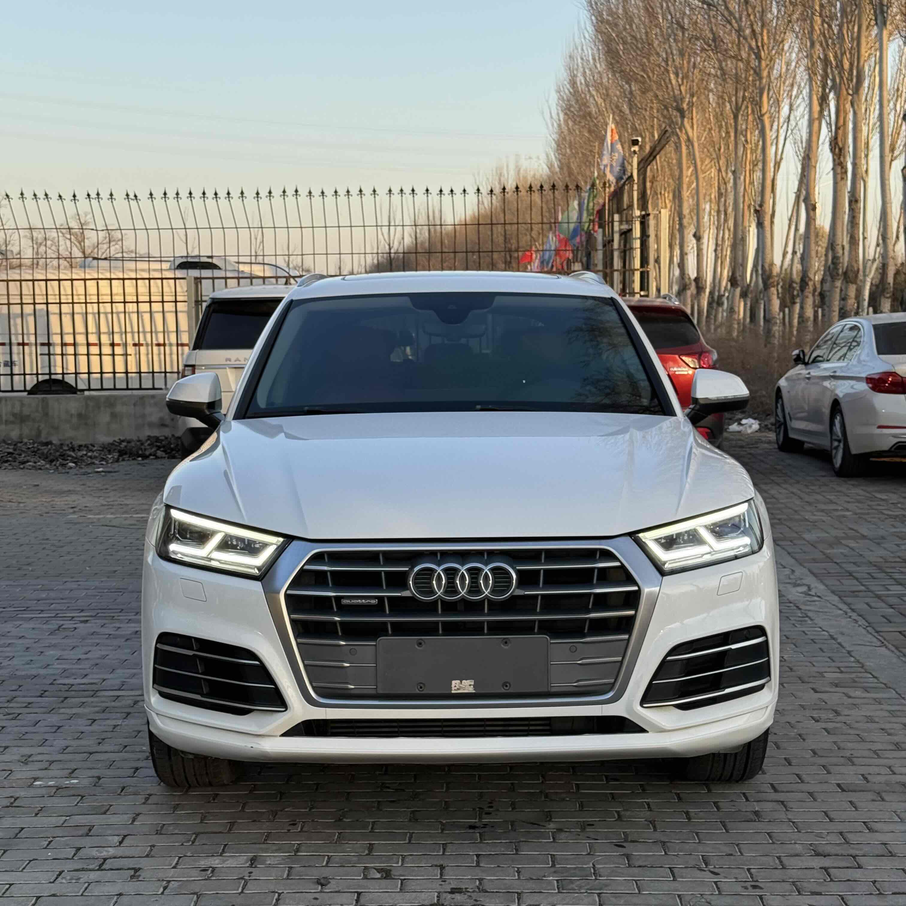 Audi Q5L 2019 汽车图片 