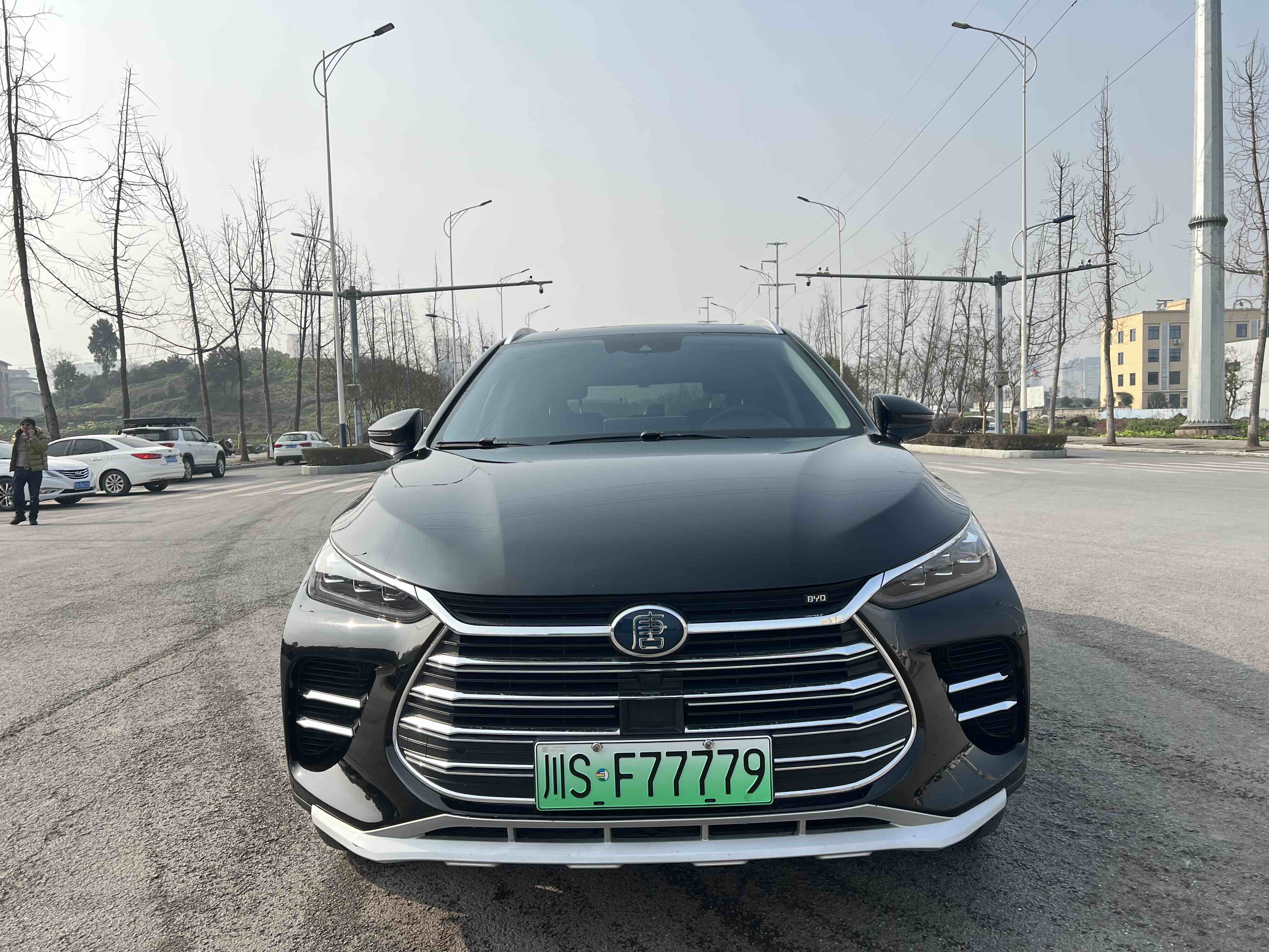 BYD Tang New Energy 2018 car image 