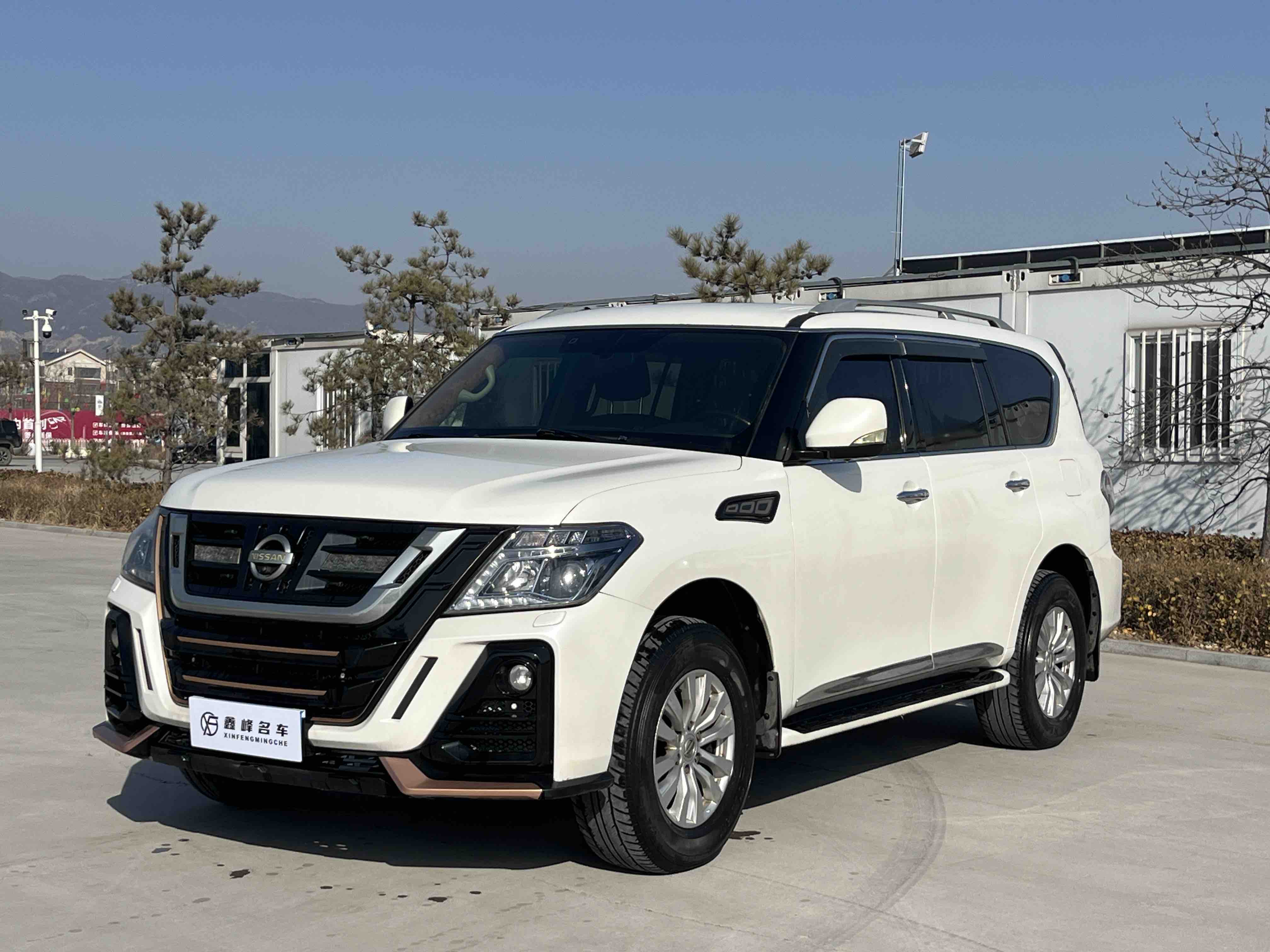 Nissan 2019 Nissan 2019 car image