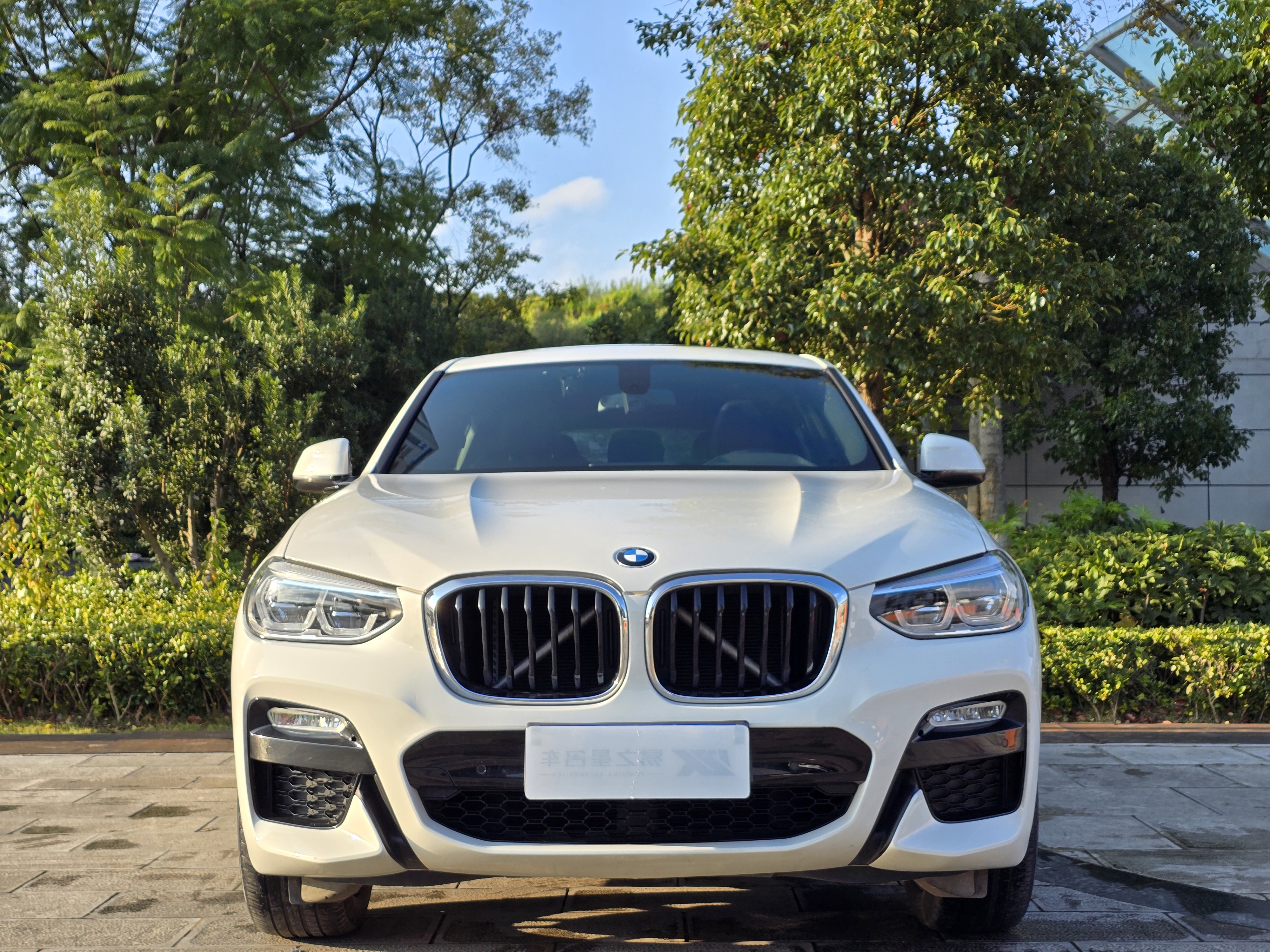 BMW X4 2019 BMW X4 2019 car image