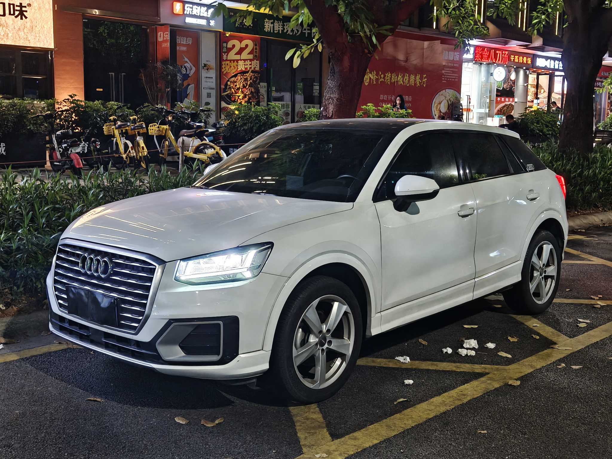 Audi Q2L 2019 汽车图片 