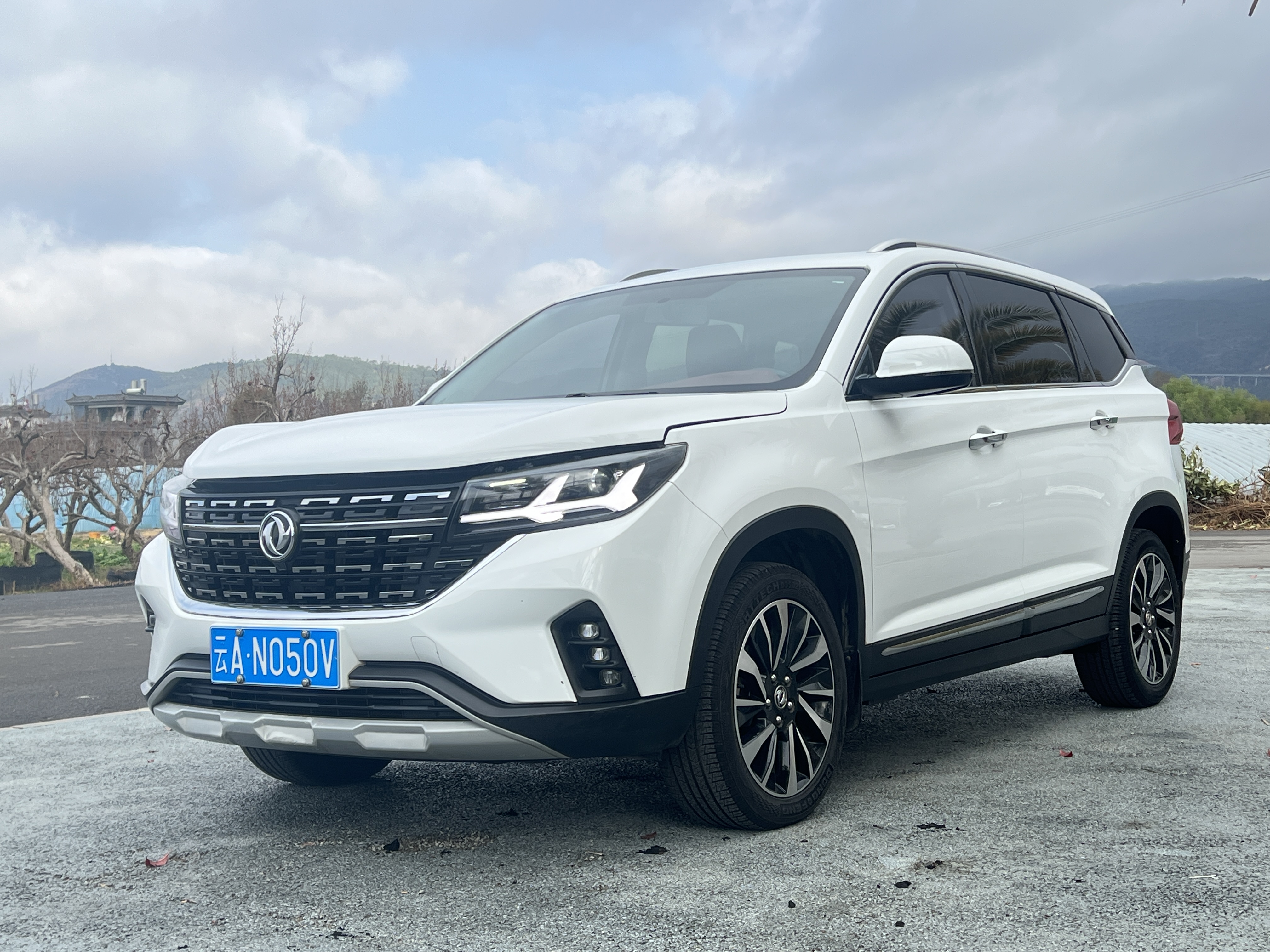 T5 2019 T5 2019 car image