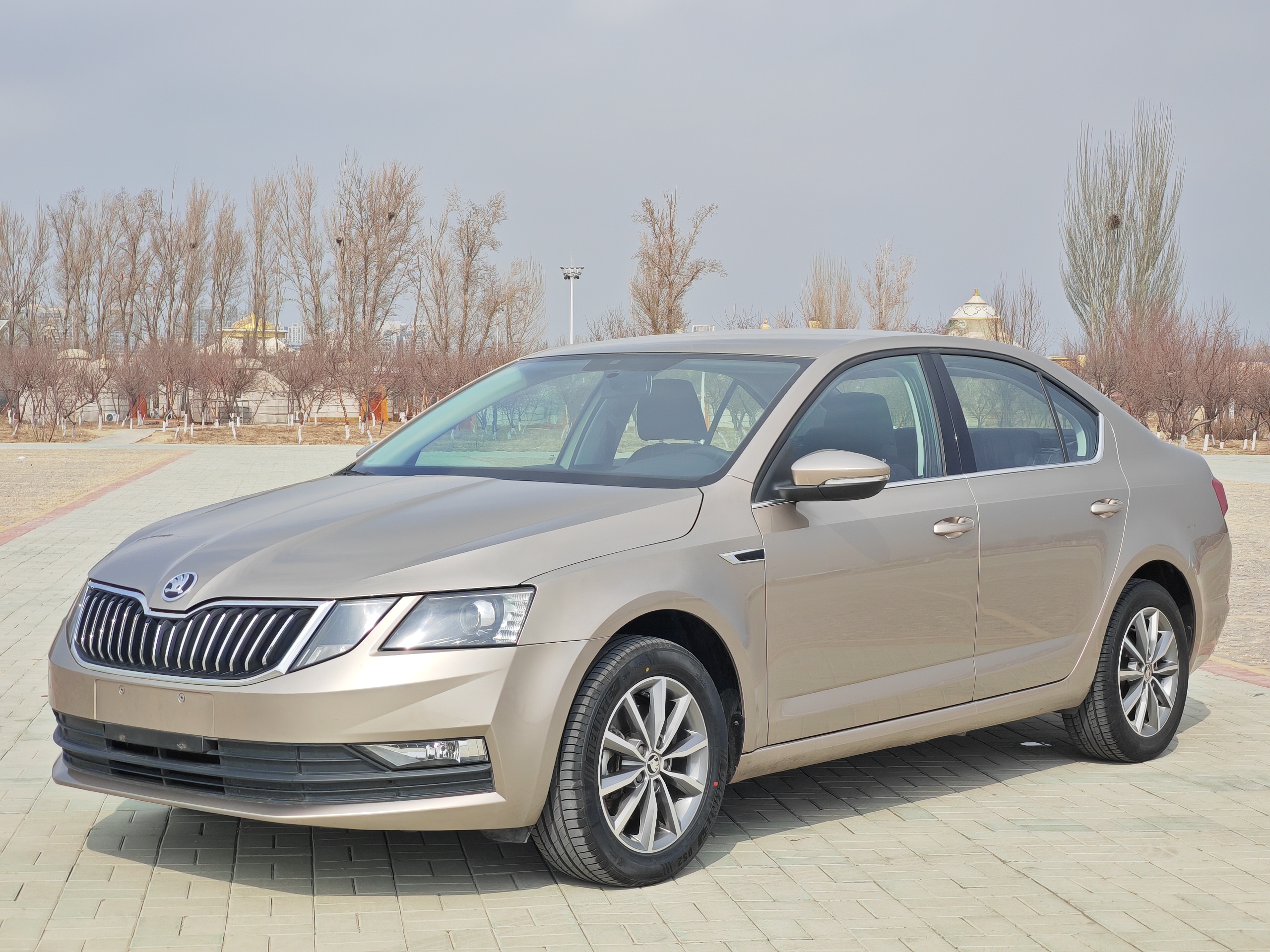 Skoda Octavia 2019 immagine di auto 
