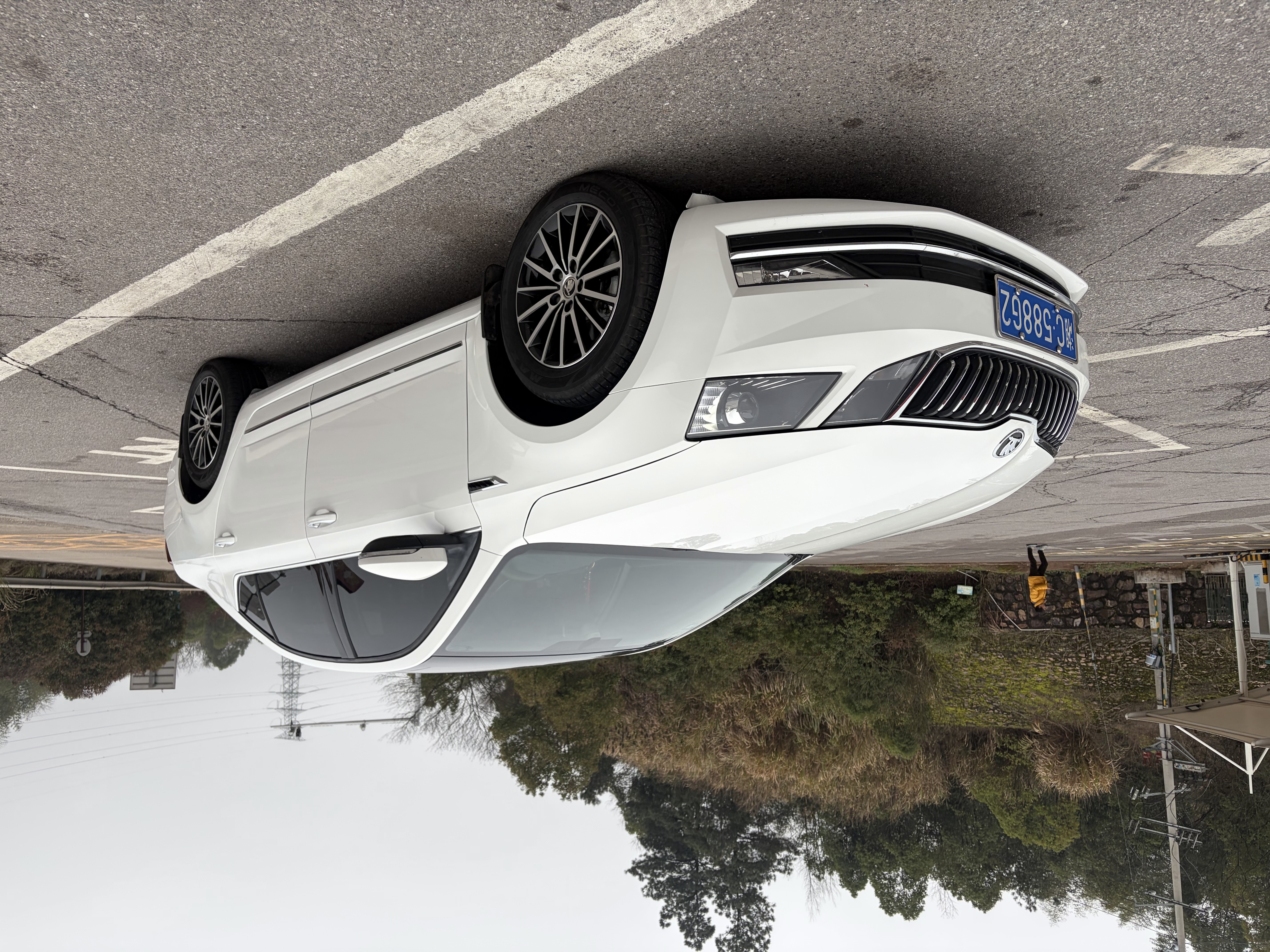 Skoda Octavia 2019 immagine di auto 