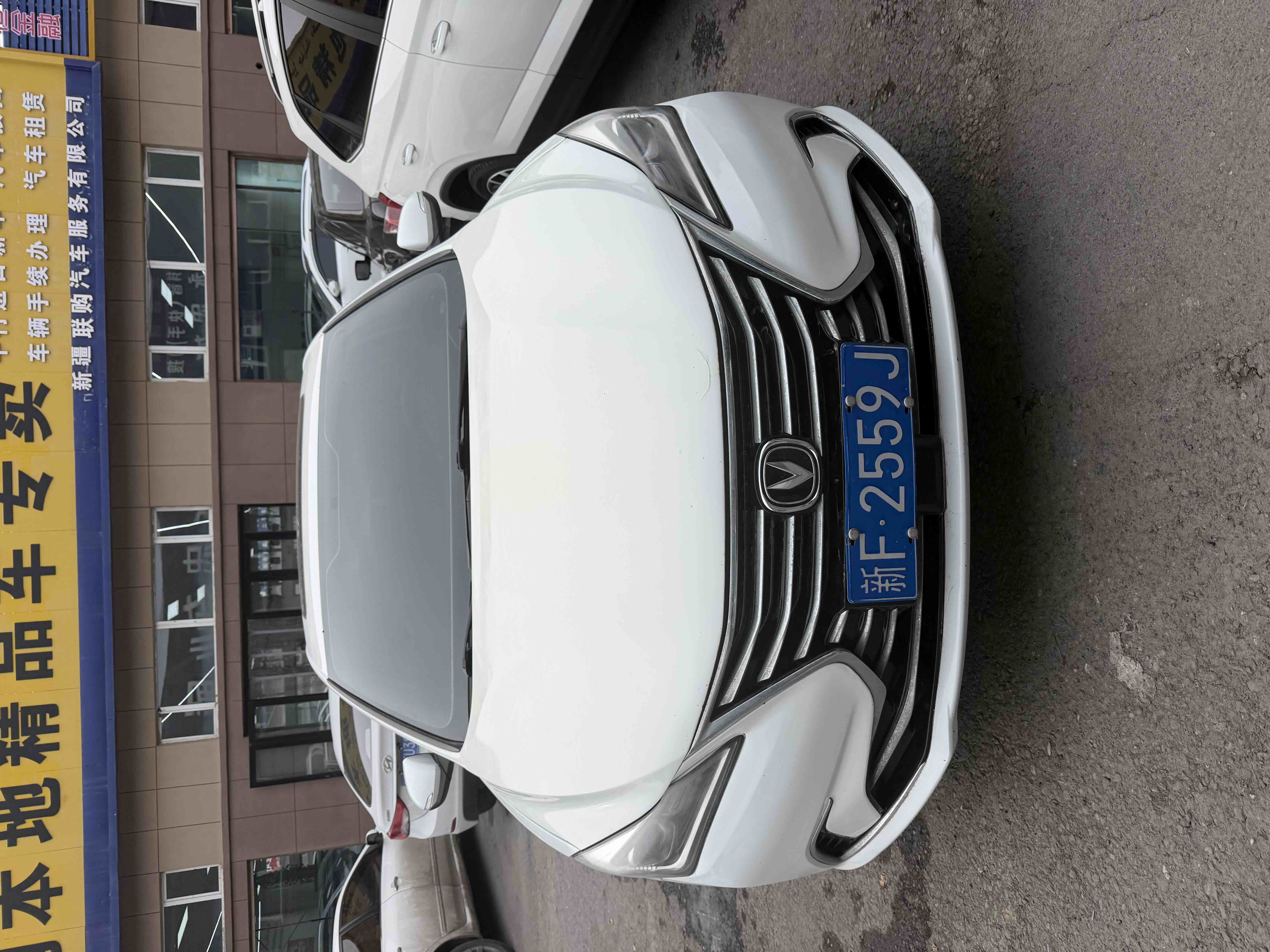 Changan Eado 2019 car image 