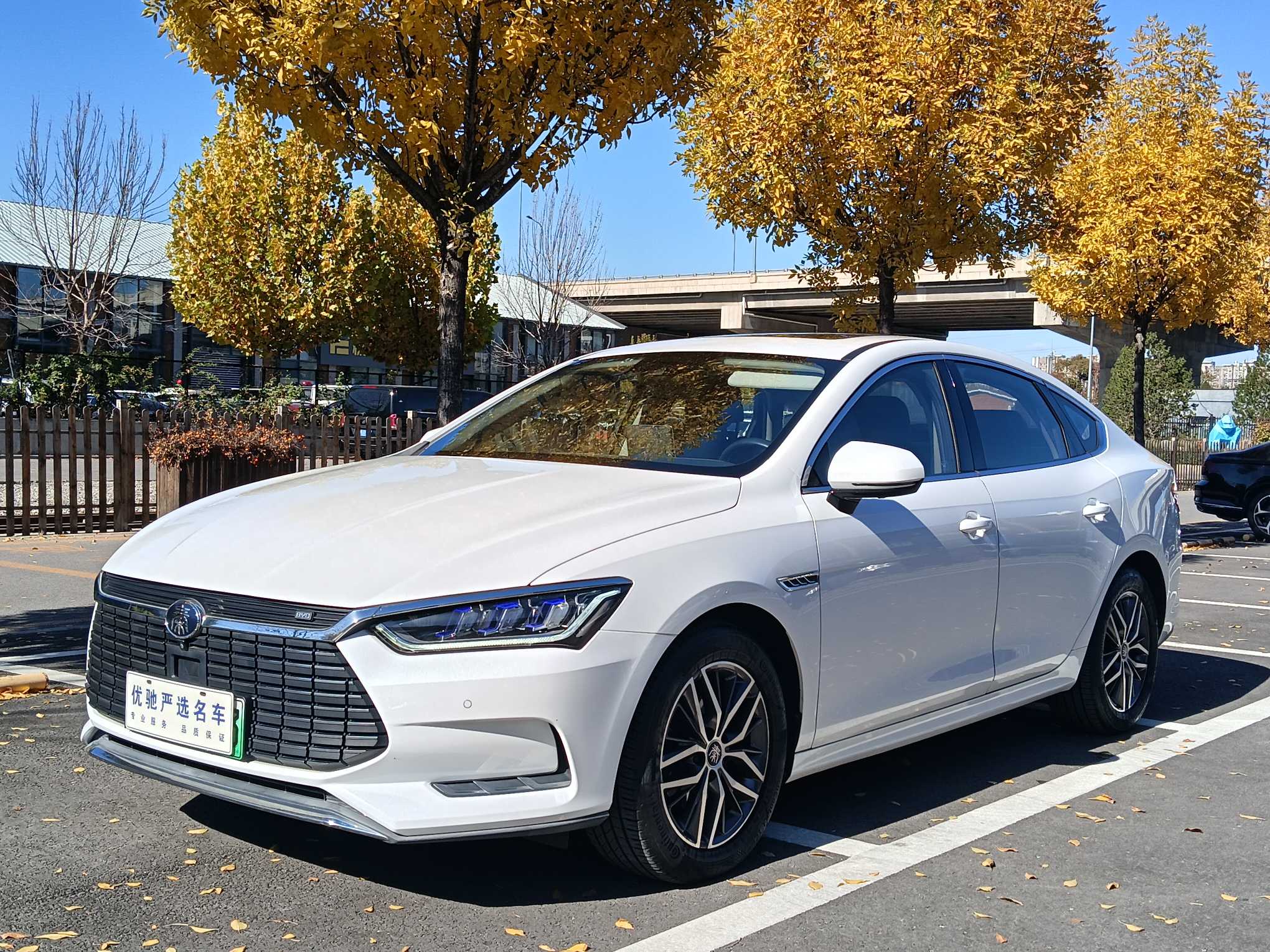 BYD Qin Pro New Energy 2020 car image 