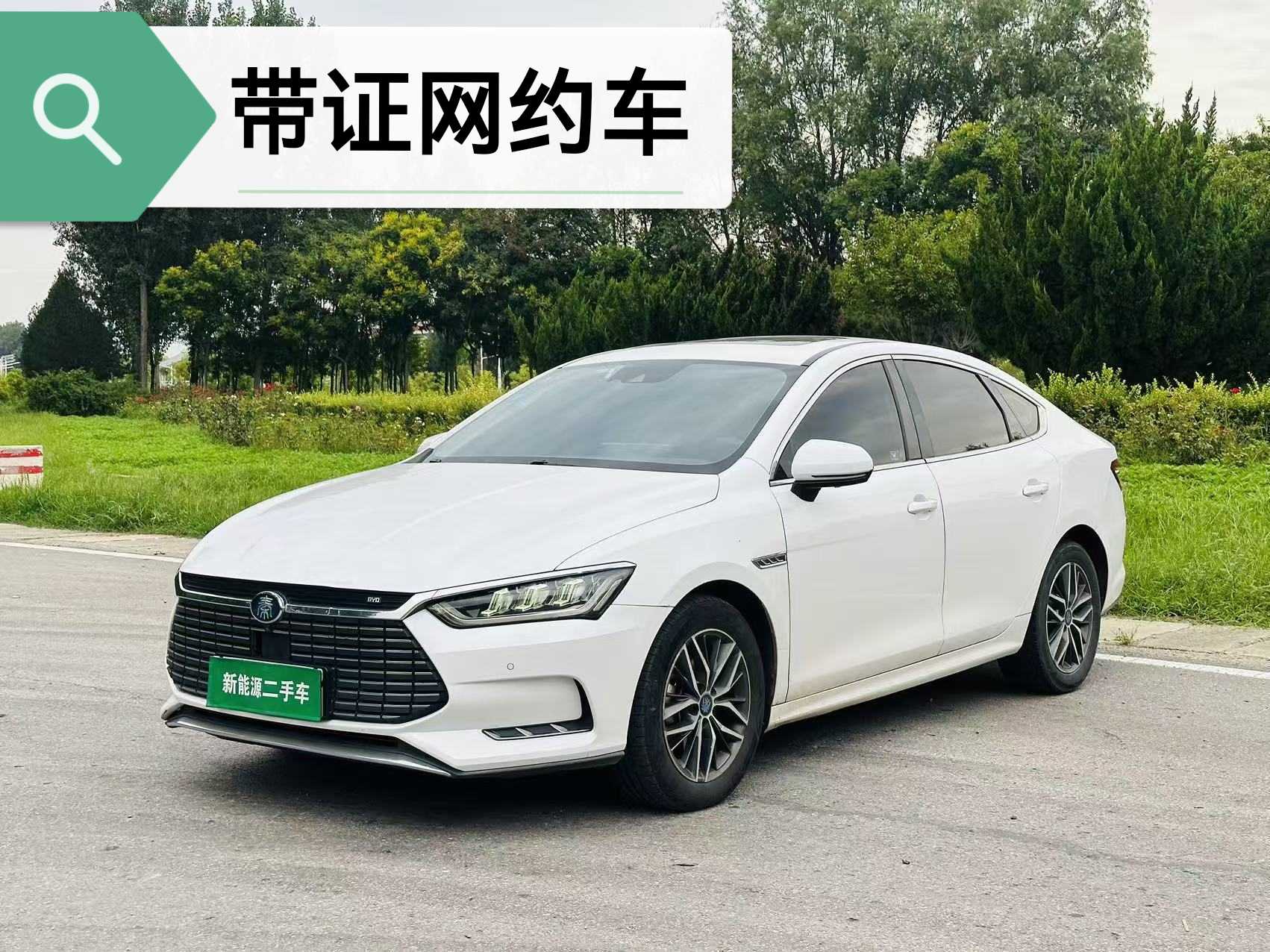 BYD Qin Pro New Energy 2019 car image 