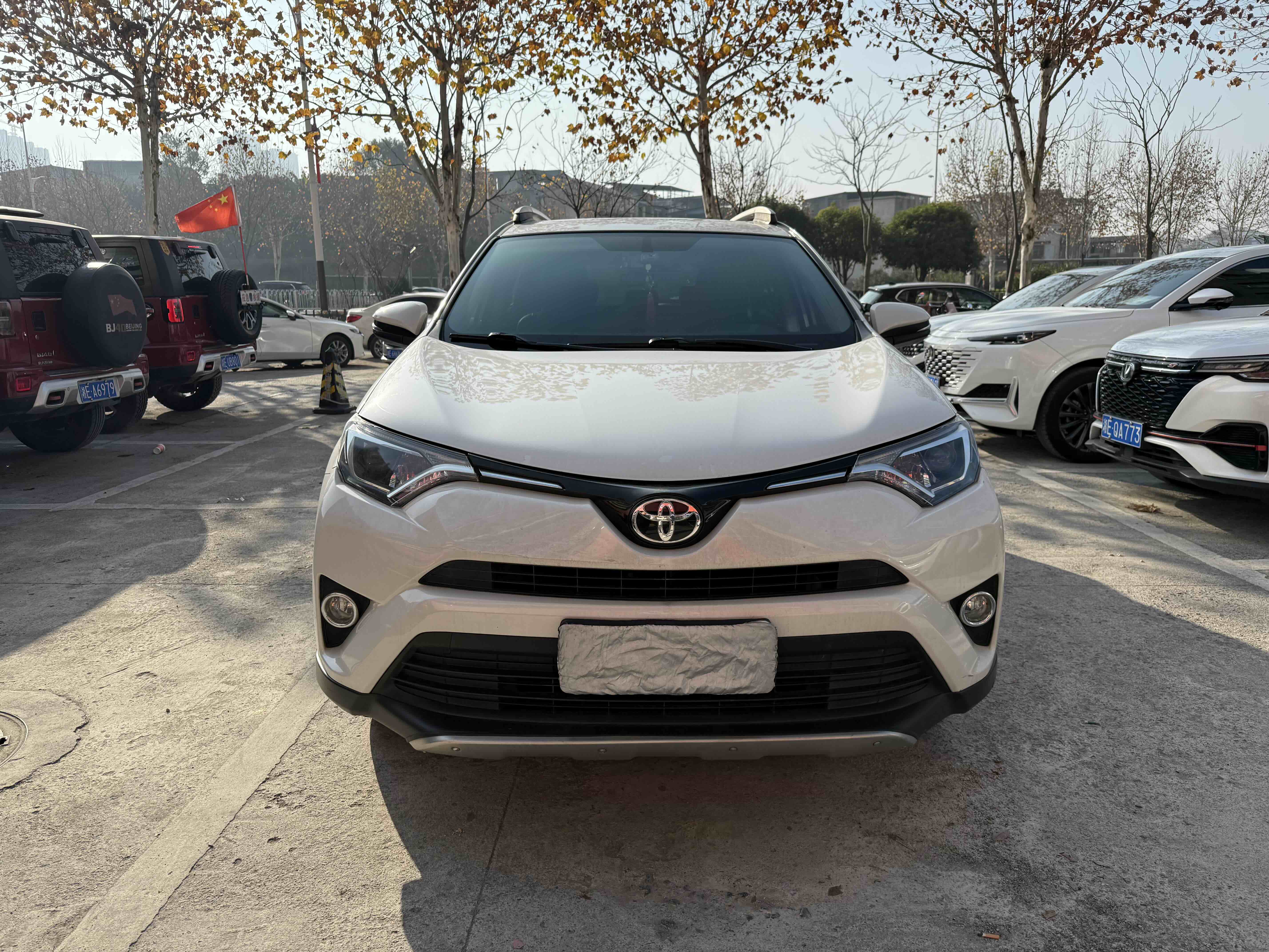 Toyota RAV4 2019 car image 