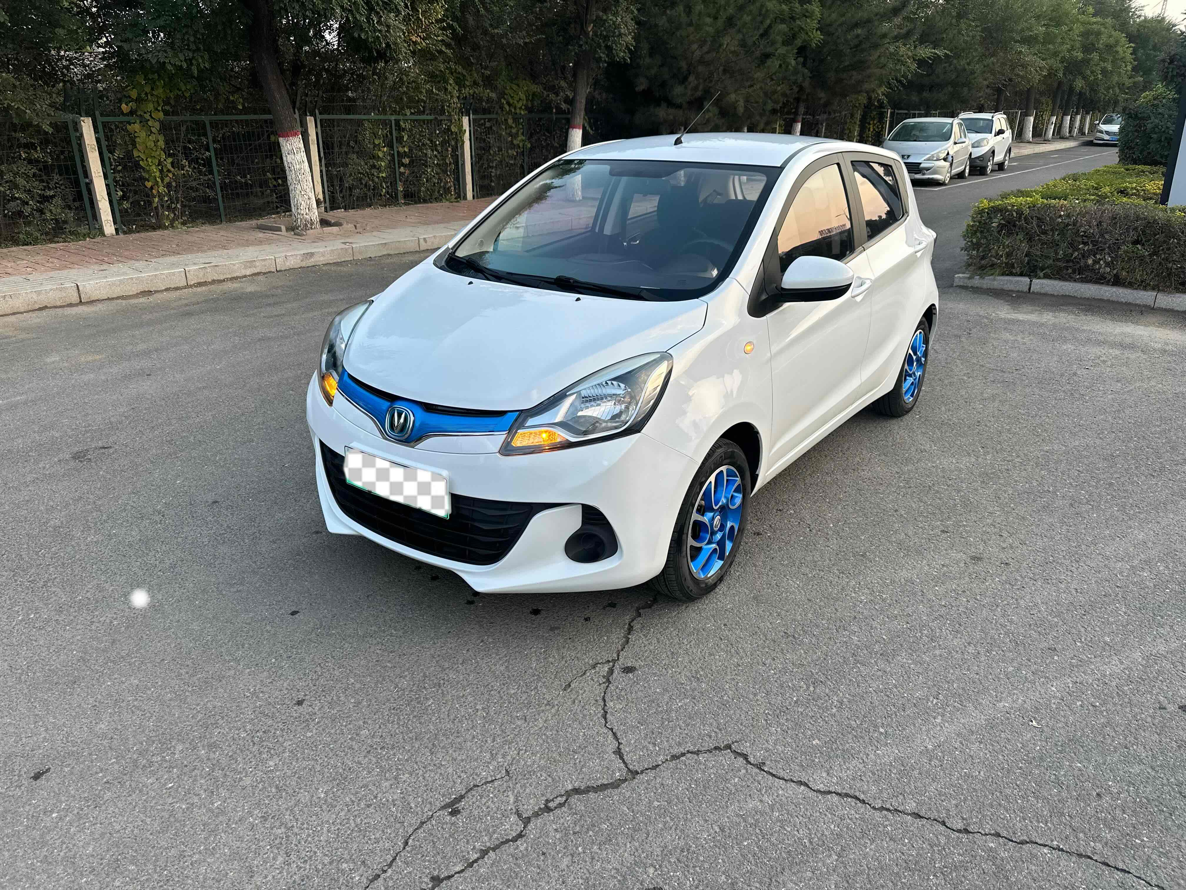 Changan BenBen EV 2019 car image 