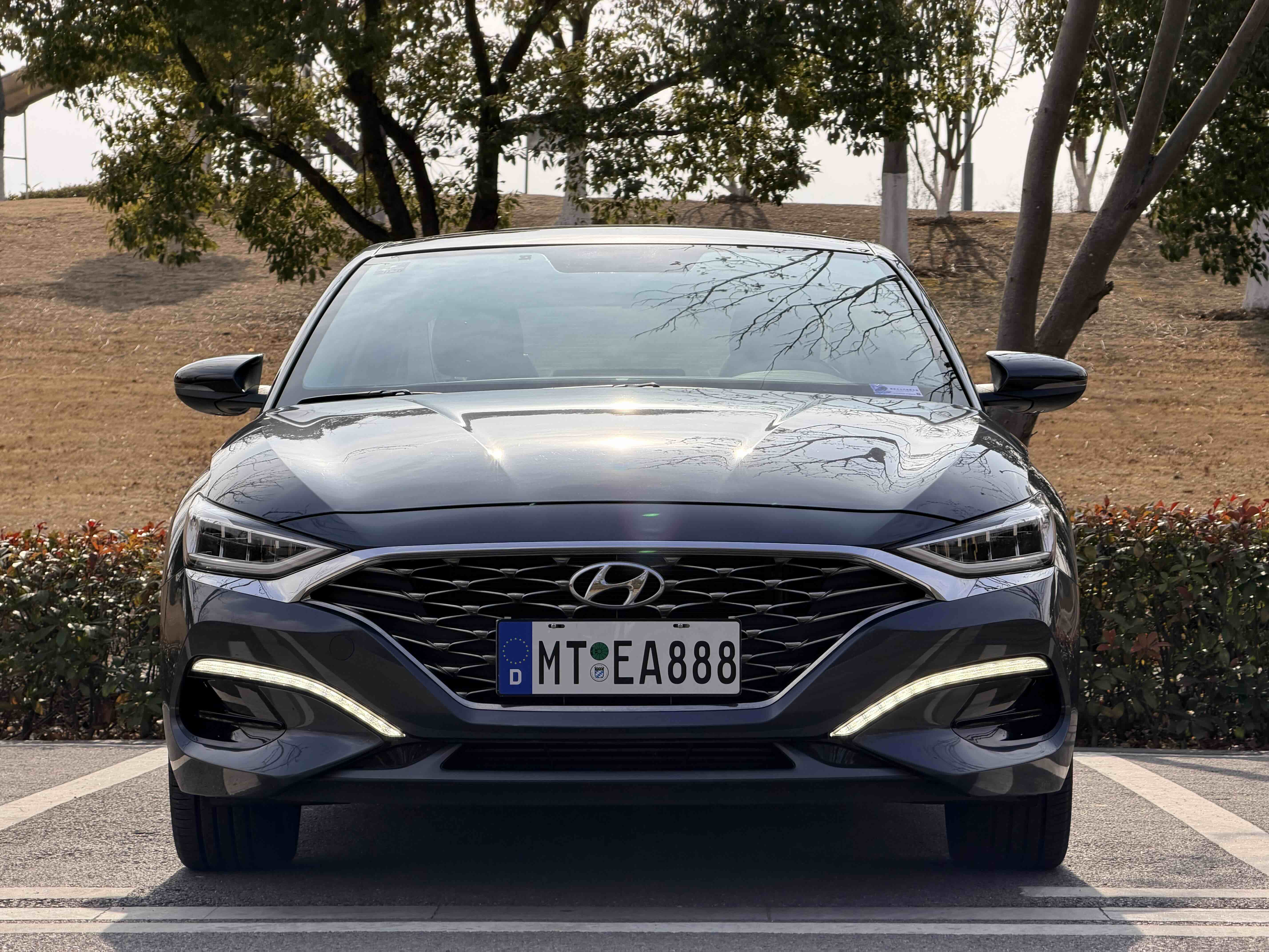 Hyundai Lafesta 2020 car image 