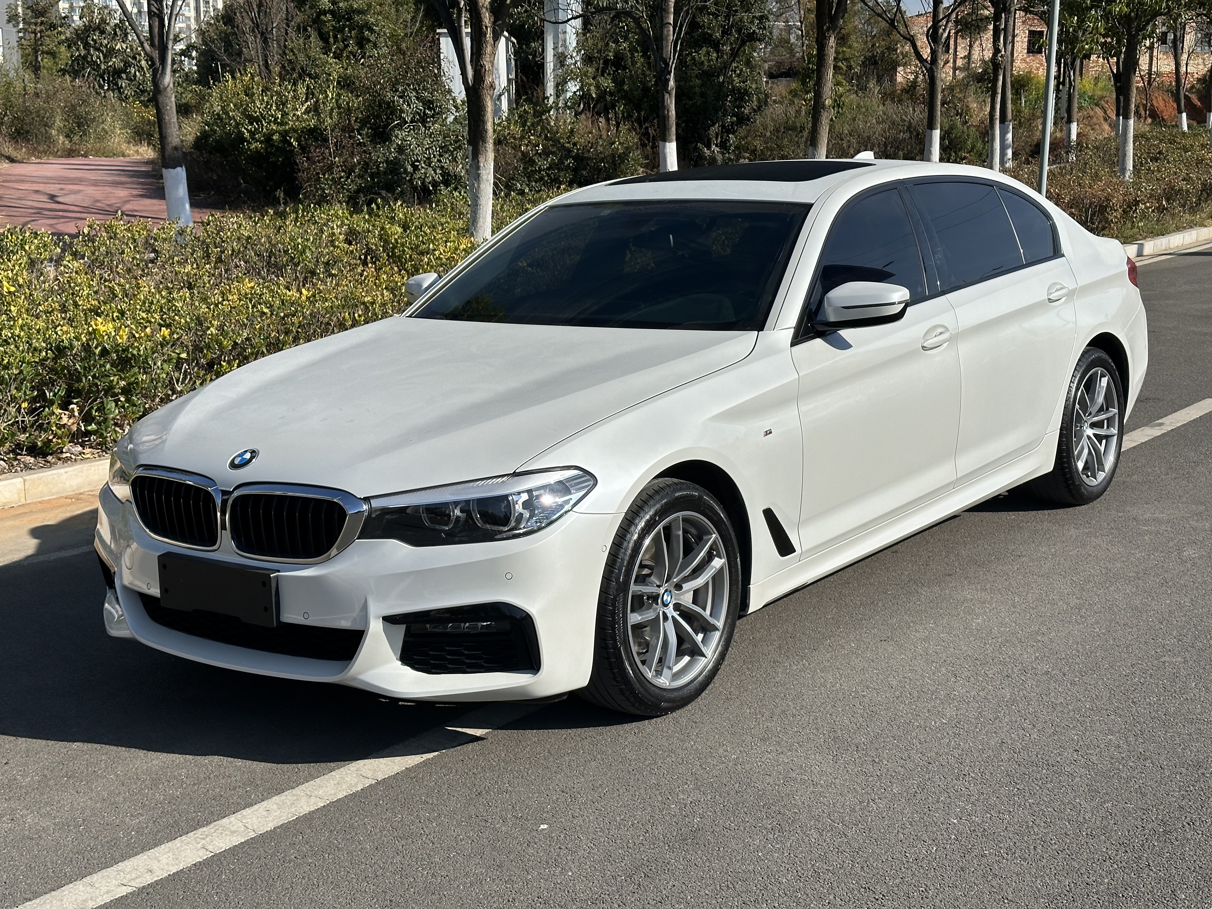 BMW 5 Series 2019 car image 