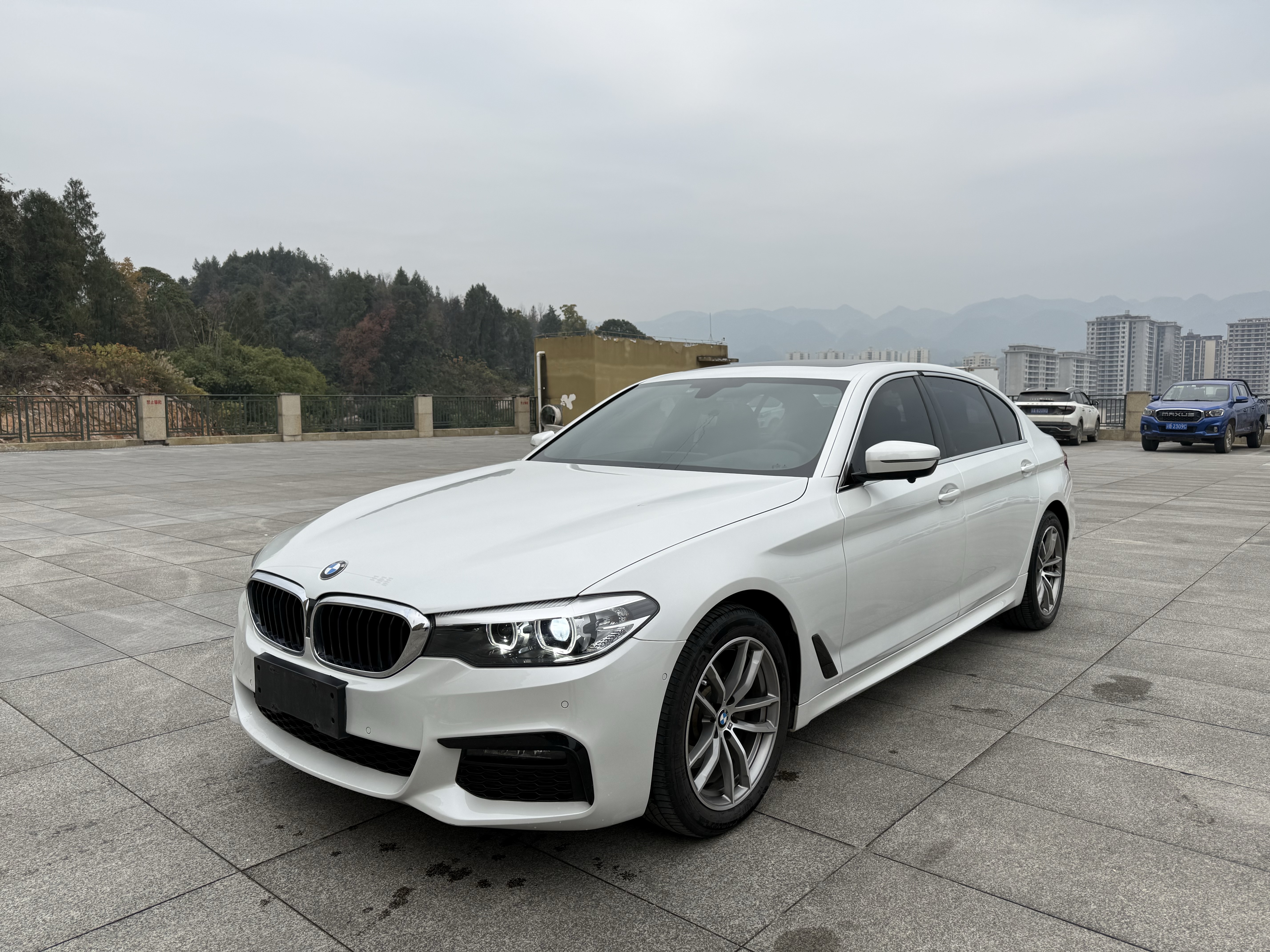 BMW 5 Series 2019 car image 