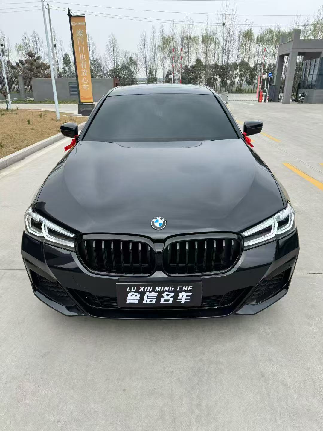BMW 5 Series 2019 car image 