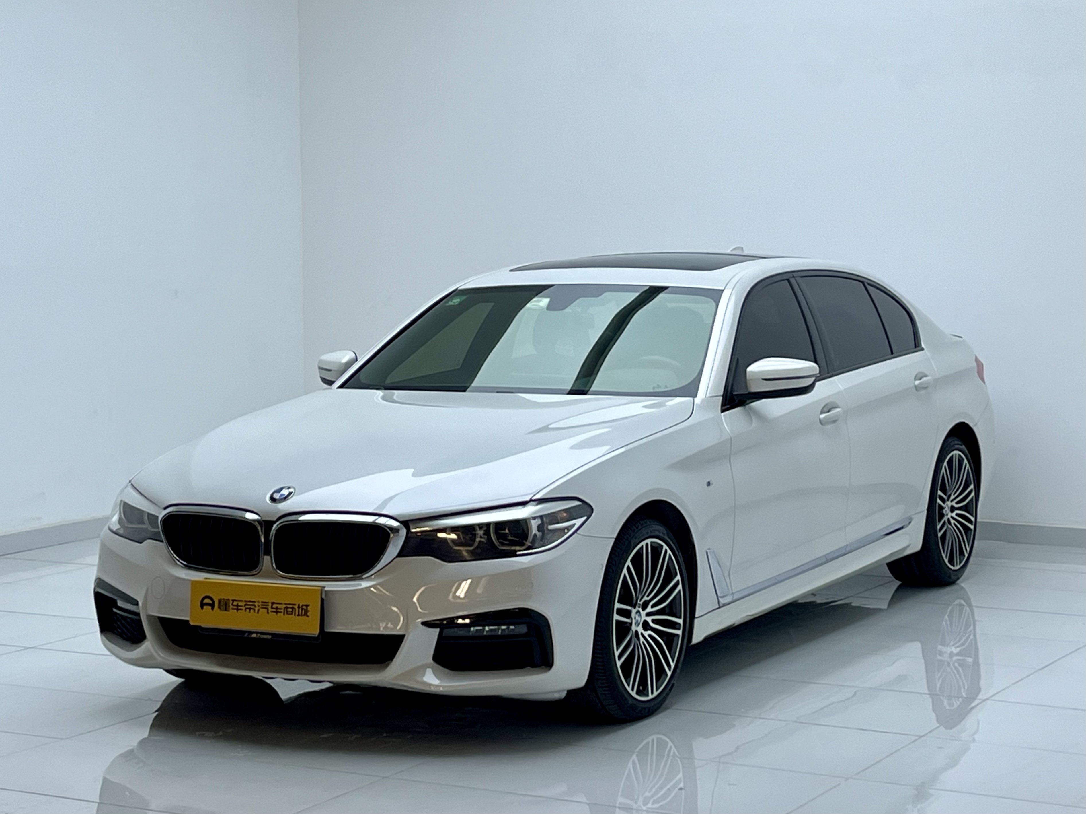 BMW 5 Series 2019 汽车图片 