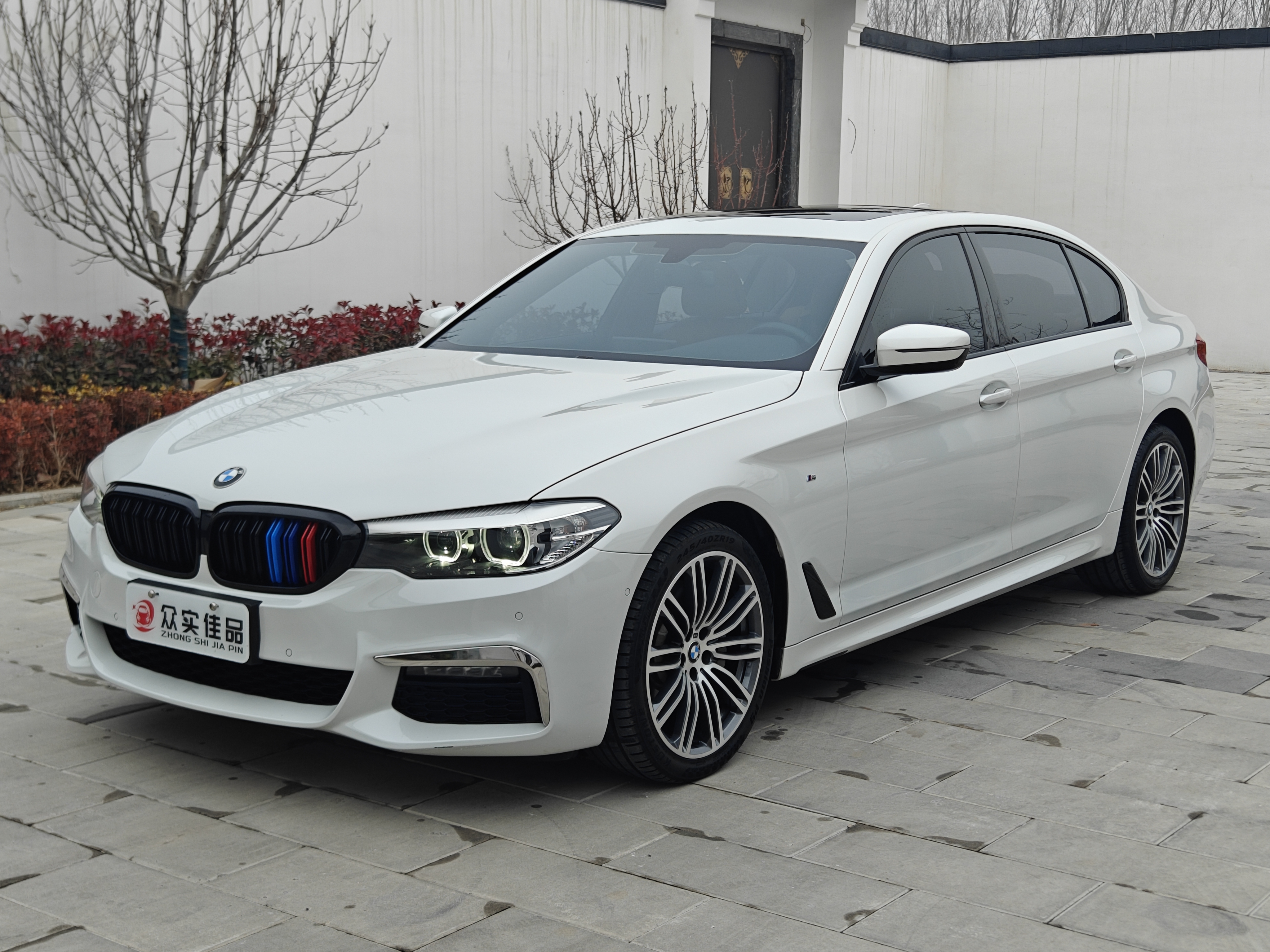 BMW 5 Series 2019 car image 
