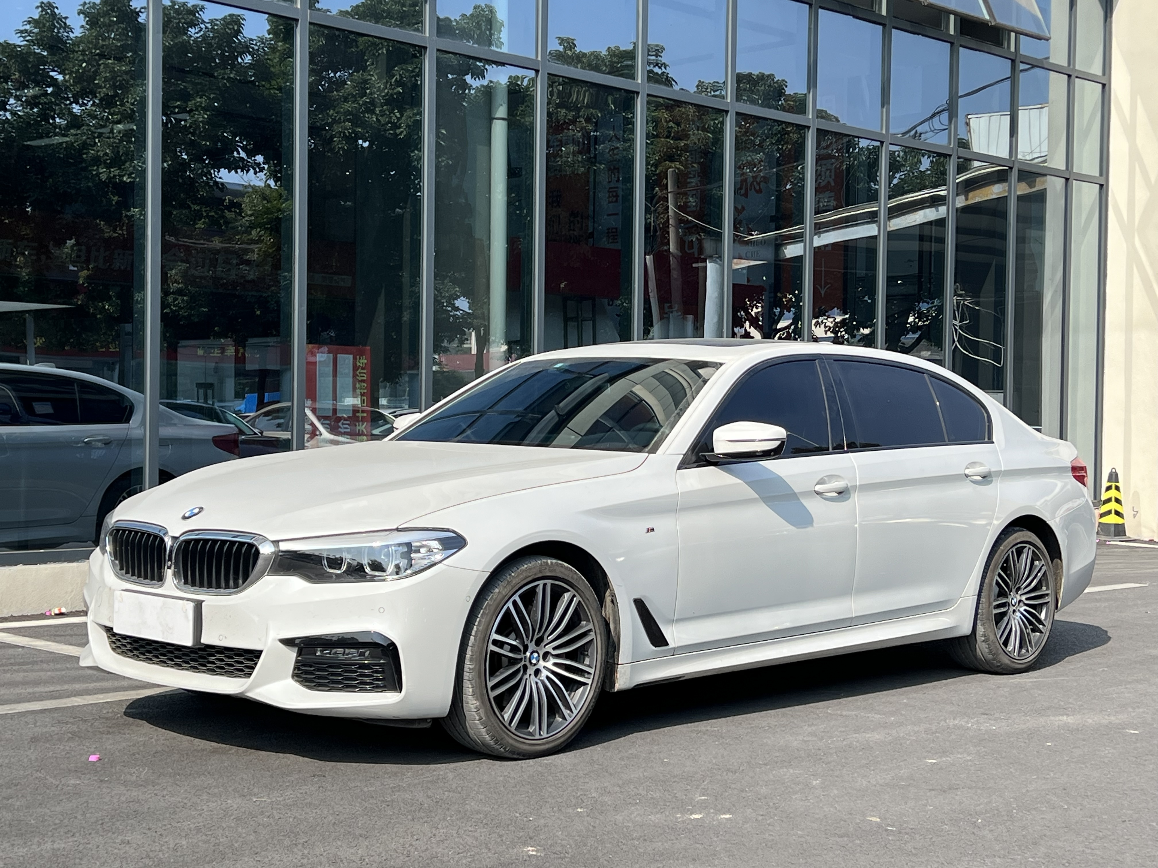 BMW 5 Series 2019 car image 