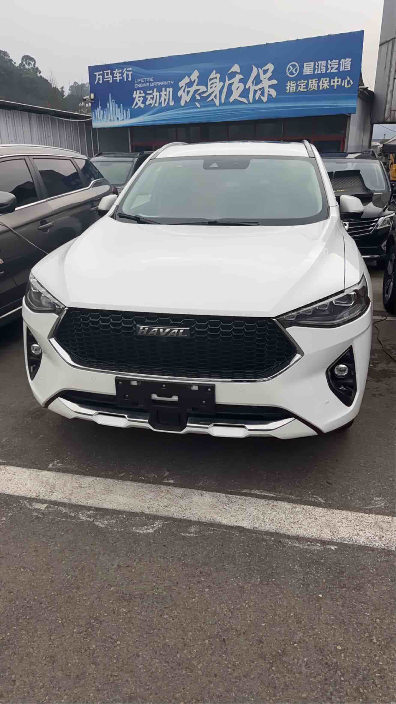 Haval F7 2019 car image 