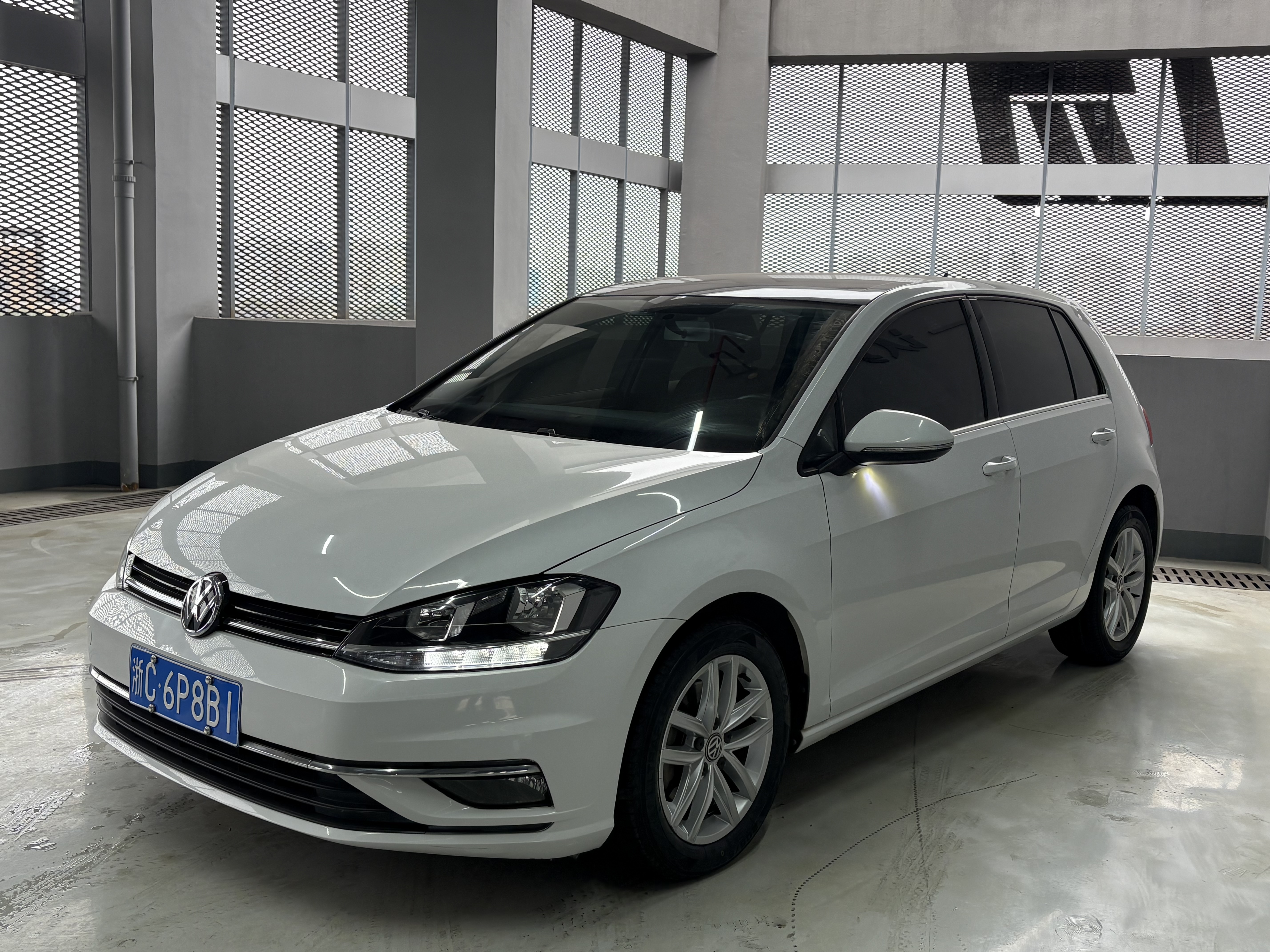 Volkswagen Golf 2019 汽车图片 