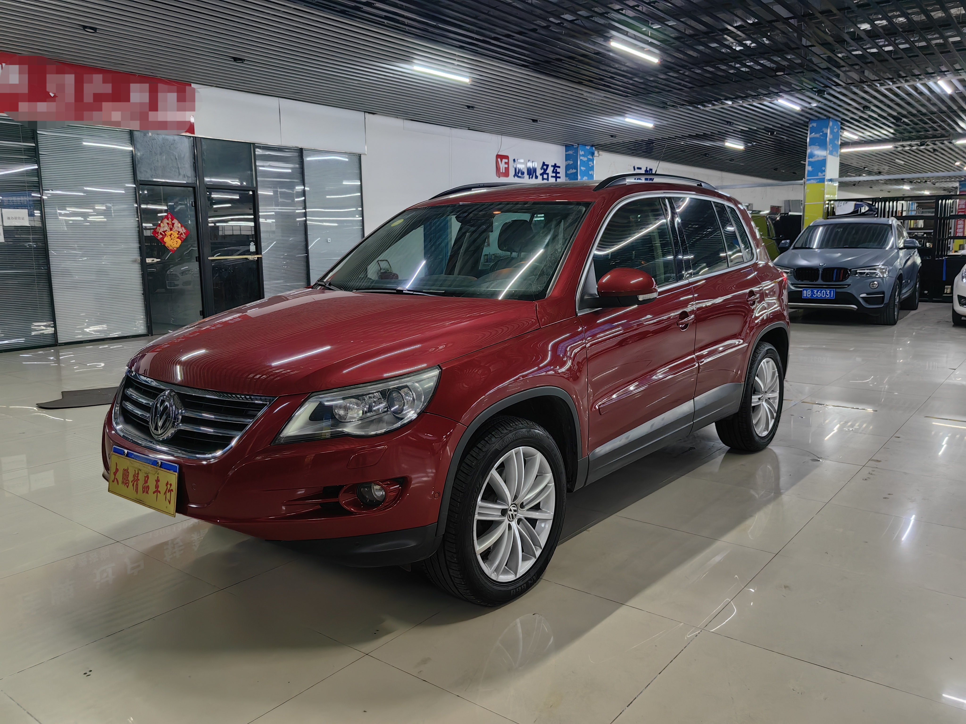 Volkswagen Tiguan 2011 汽车图片 