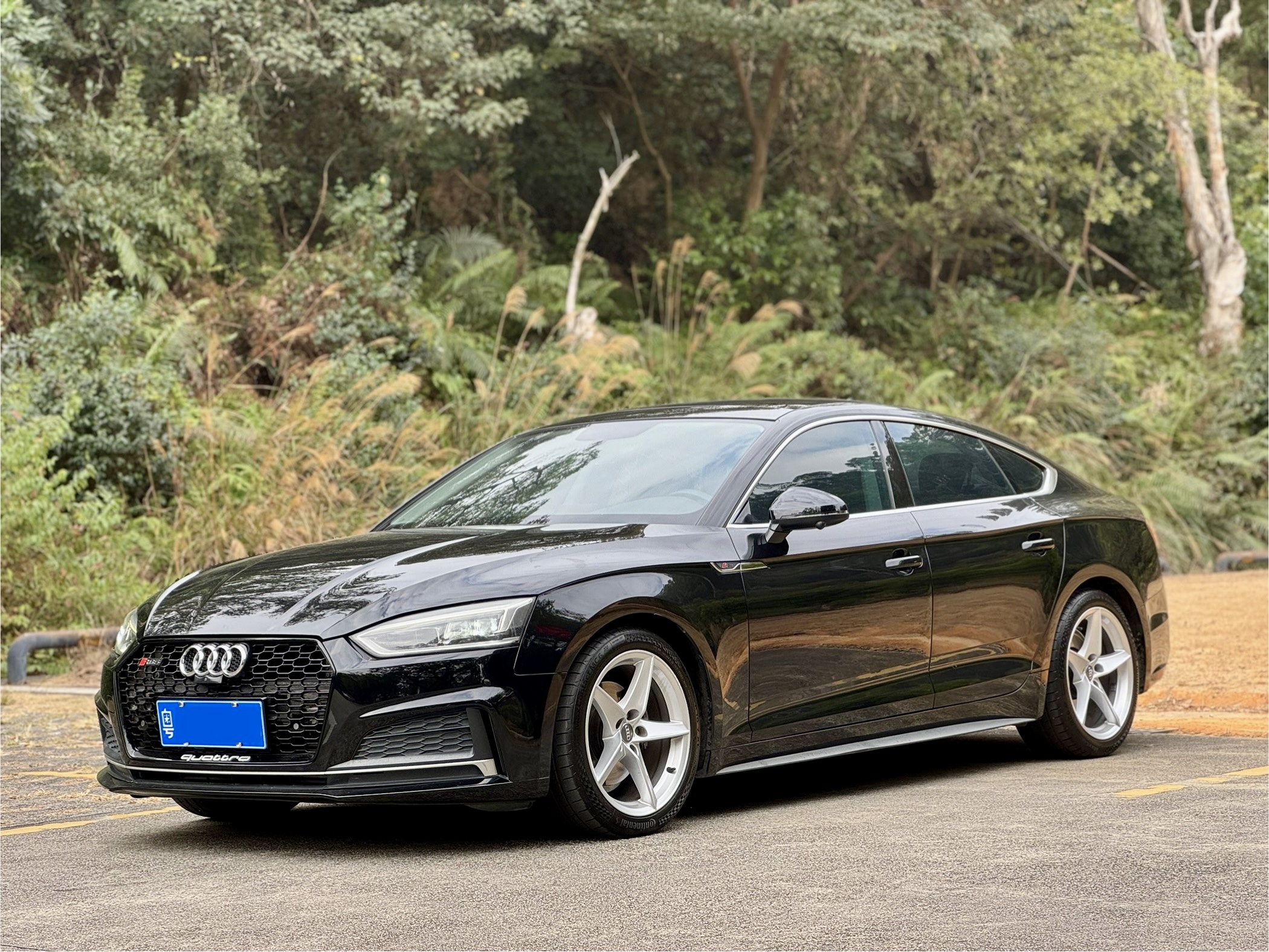 Audi A5 (Imported) 2019 car image 