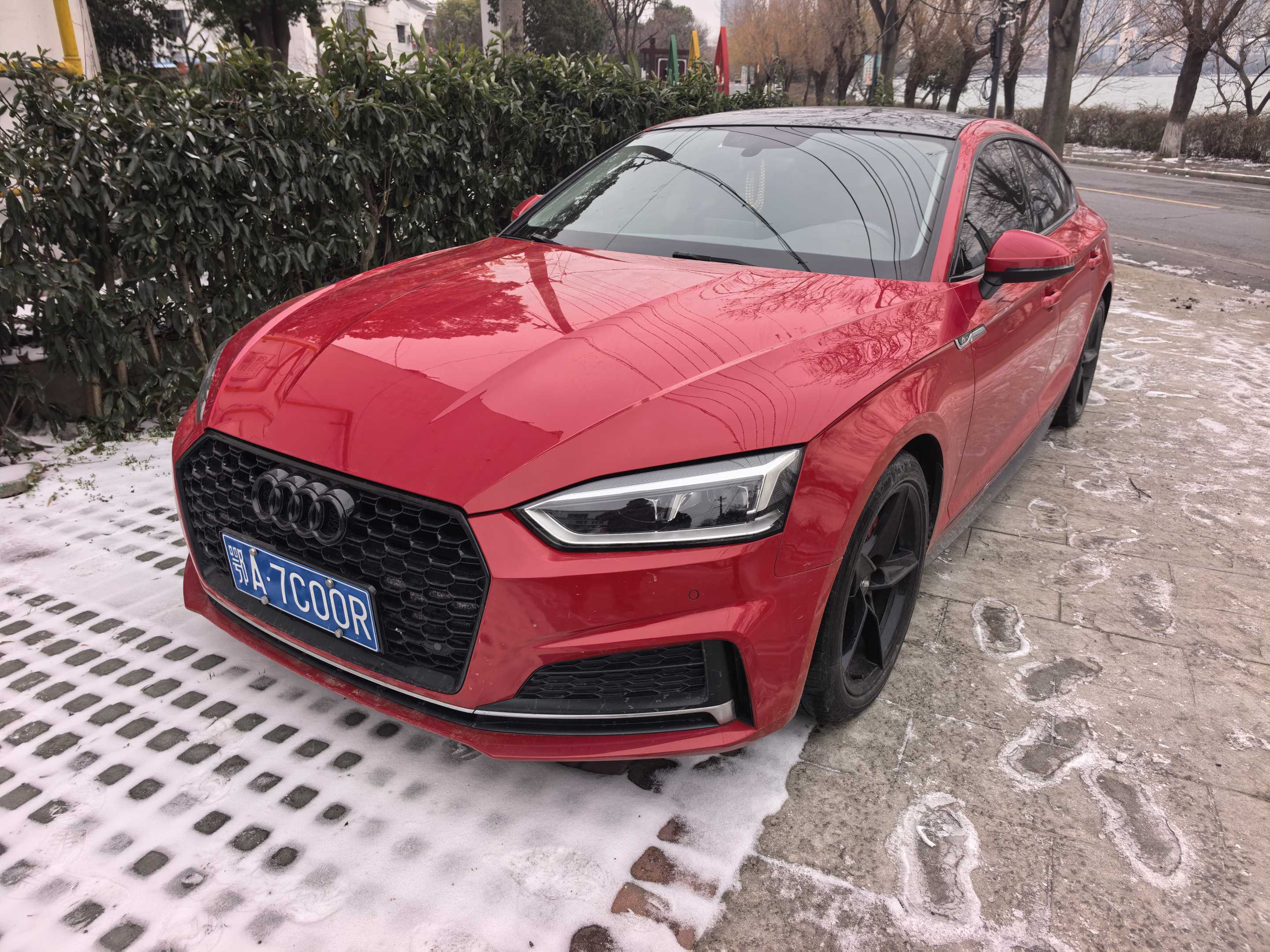 Audi A5 (Imported) 2019 car image 
